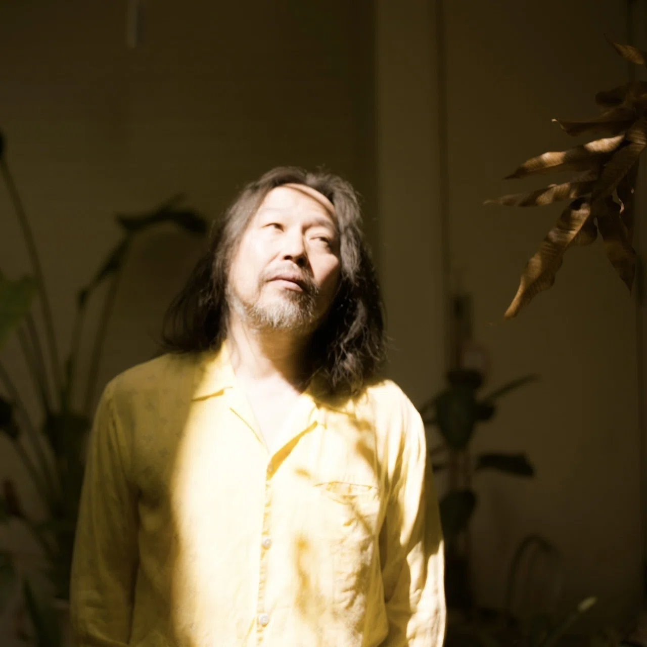 曽我部恵一『パイナップル・ロック』｜ROSE RECORDS