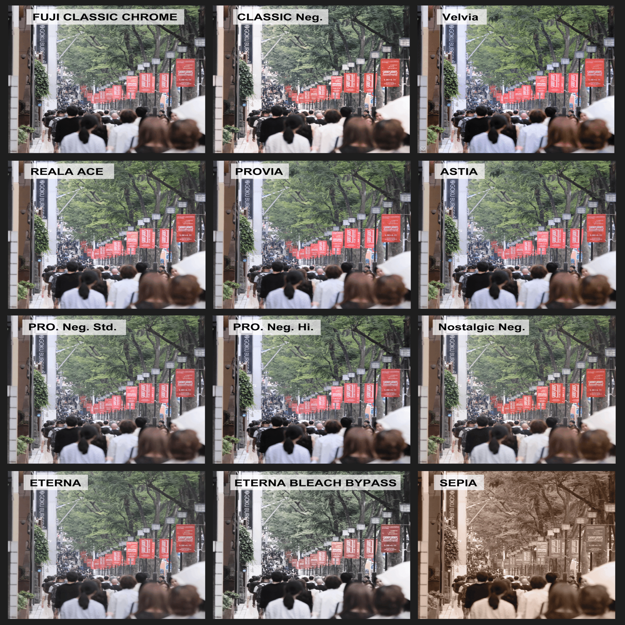 Fujifilmのフィルムシミュレーション比較 -全12種-｜Xsvsc