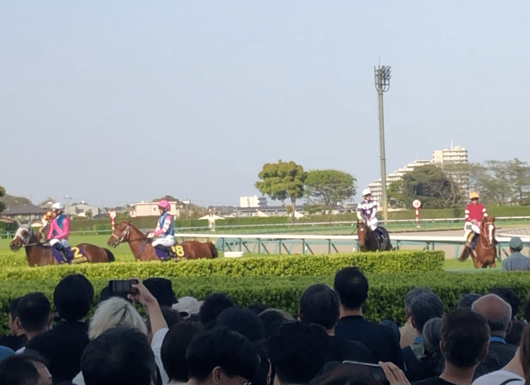 ゴールドシップ 宝塚記念(2015年) 現地単勝、複勝、応援馬券♪ 2013年 宝塚