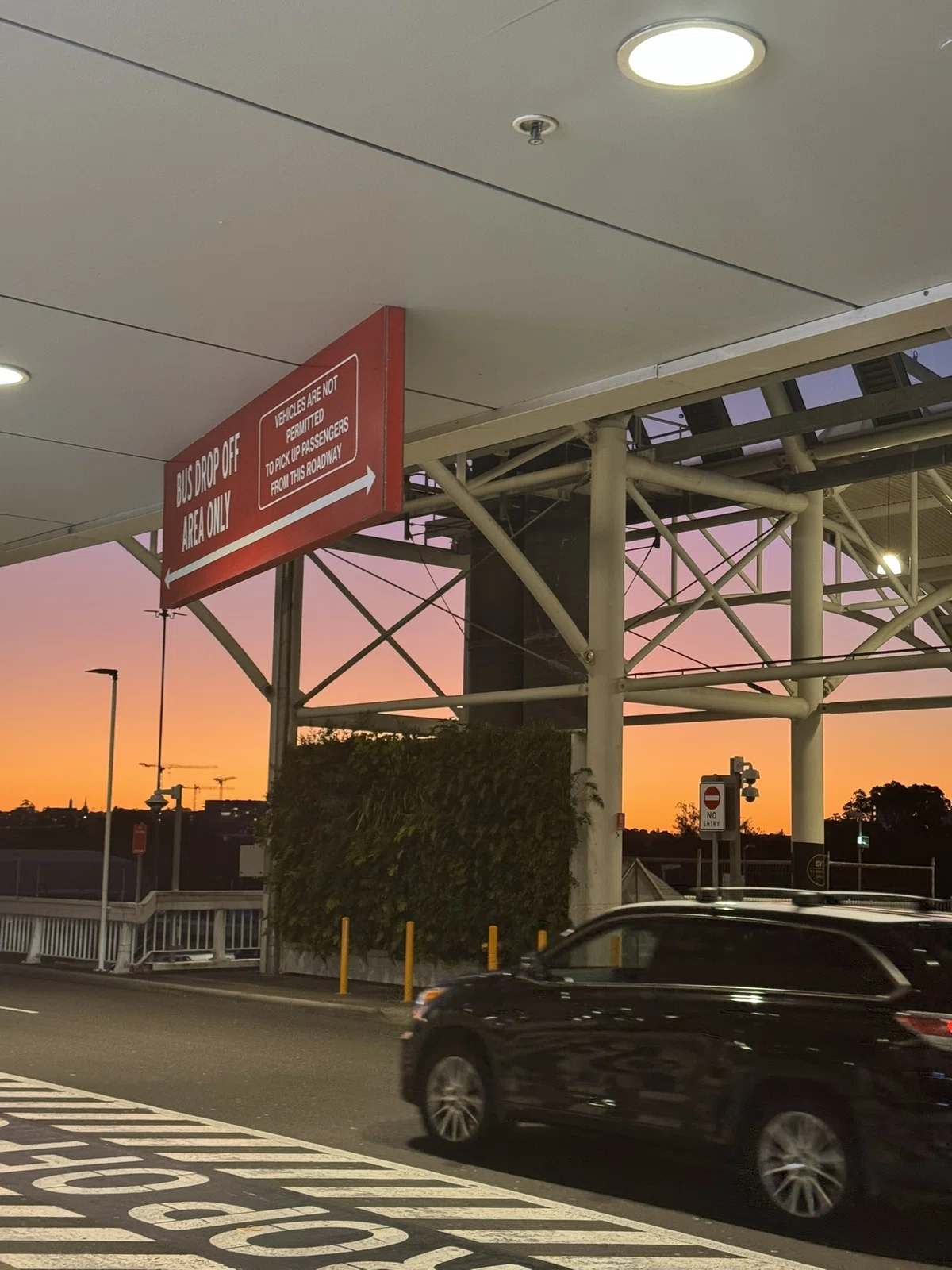 [Study Abroad in Australia] Sudden Temporary Return During the Semester ...