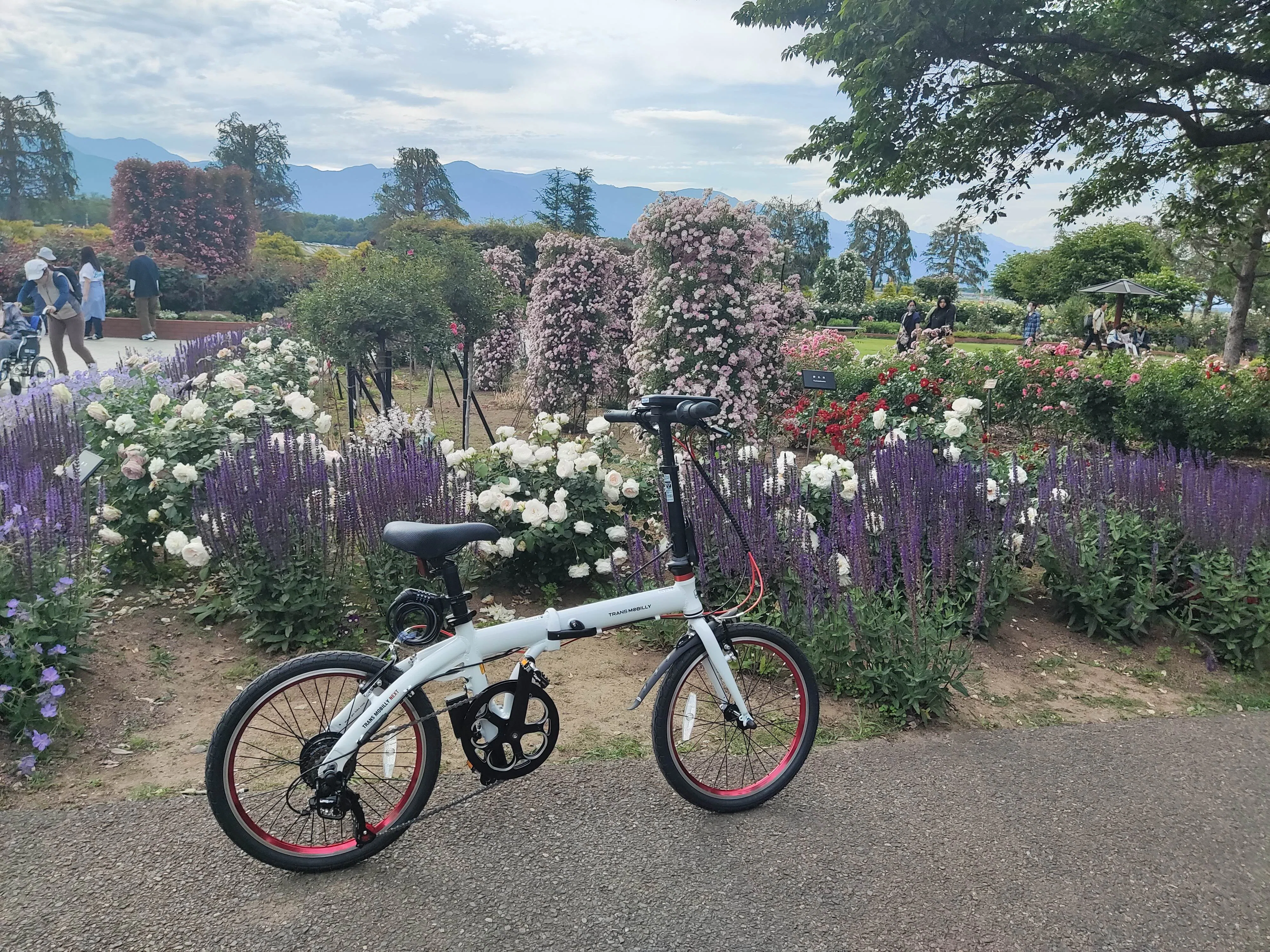 サイクリングはじめました！ 折りたたみ自転車 TRANS MOBILLY NEXT206