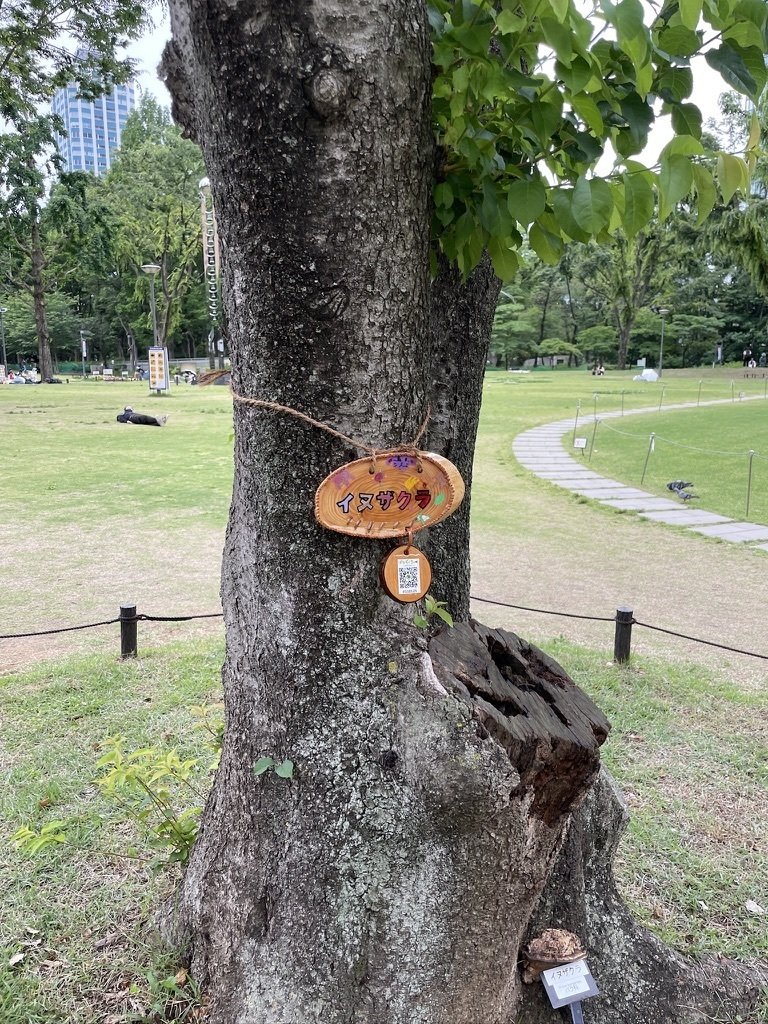 新宿中央公園ではなもく散歩がはじまりました！！｜活動記録@NPOリトカル