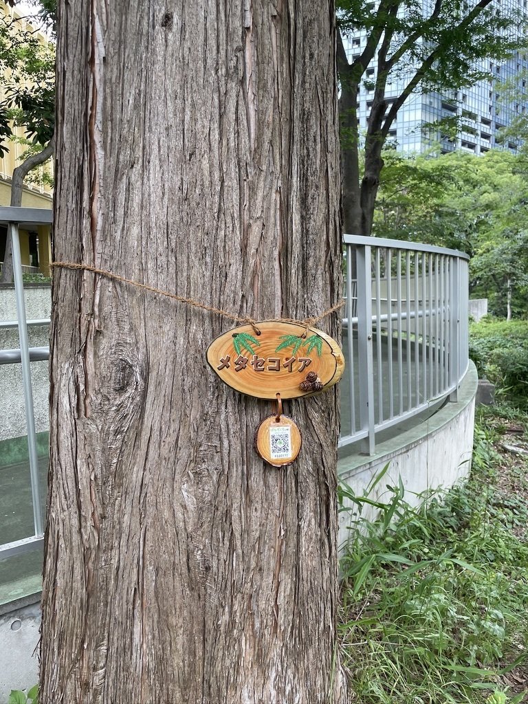 新宿中央公園ではなもく散歩がはじまりました！！｜活動記録@NPOリトカル