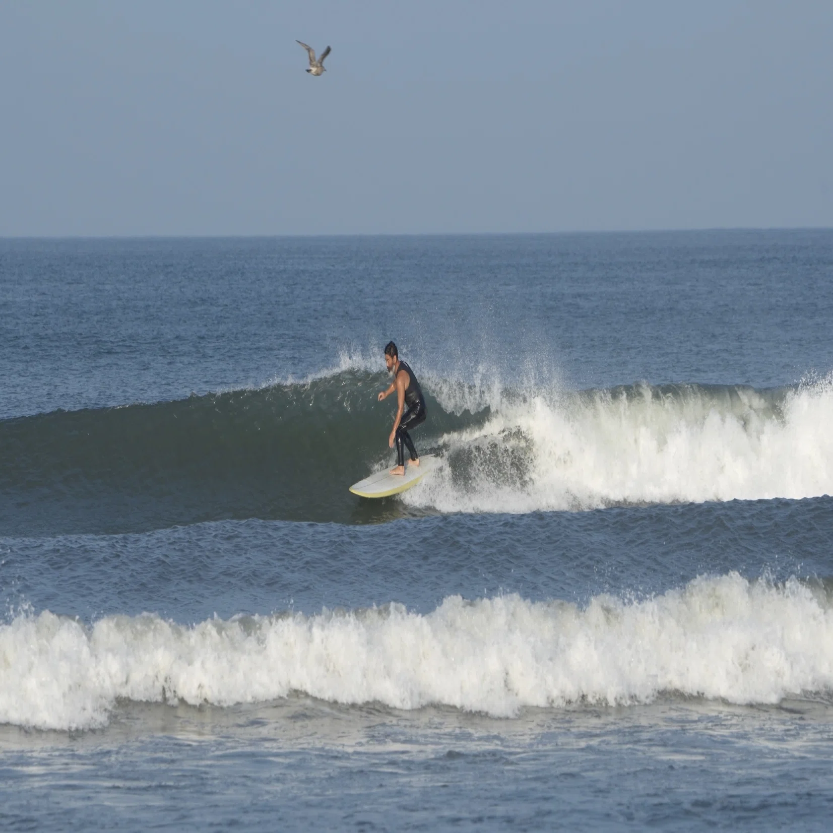 Joshua Keogh 入荷｜RIDE SURF+SPORT