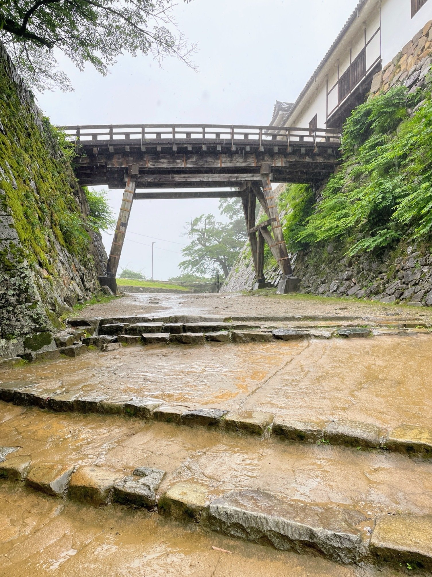 彦根城博物館の湖東焼と城下町、それに寅さん｜美術館とお寺と猫