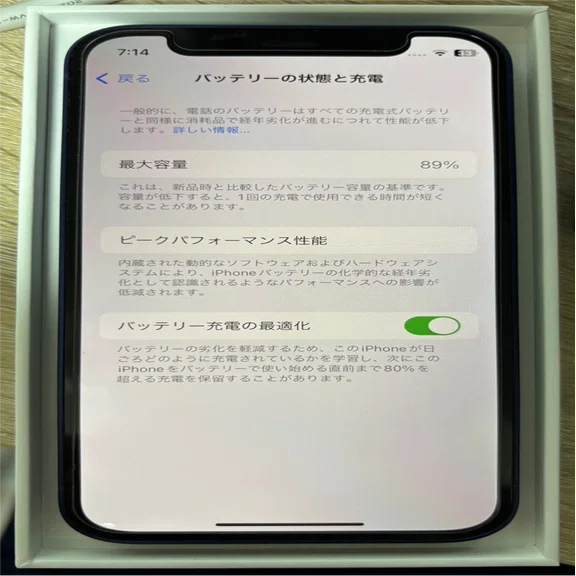 電池の容量をチェックしてみた。(2．iPhone 12 mini)｜カシワニパパ