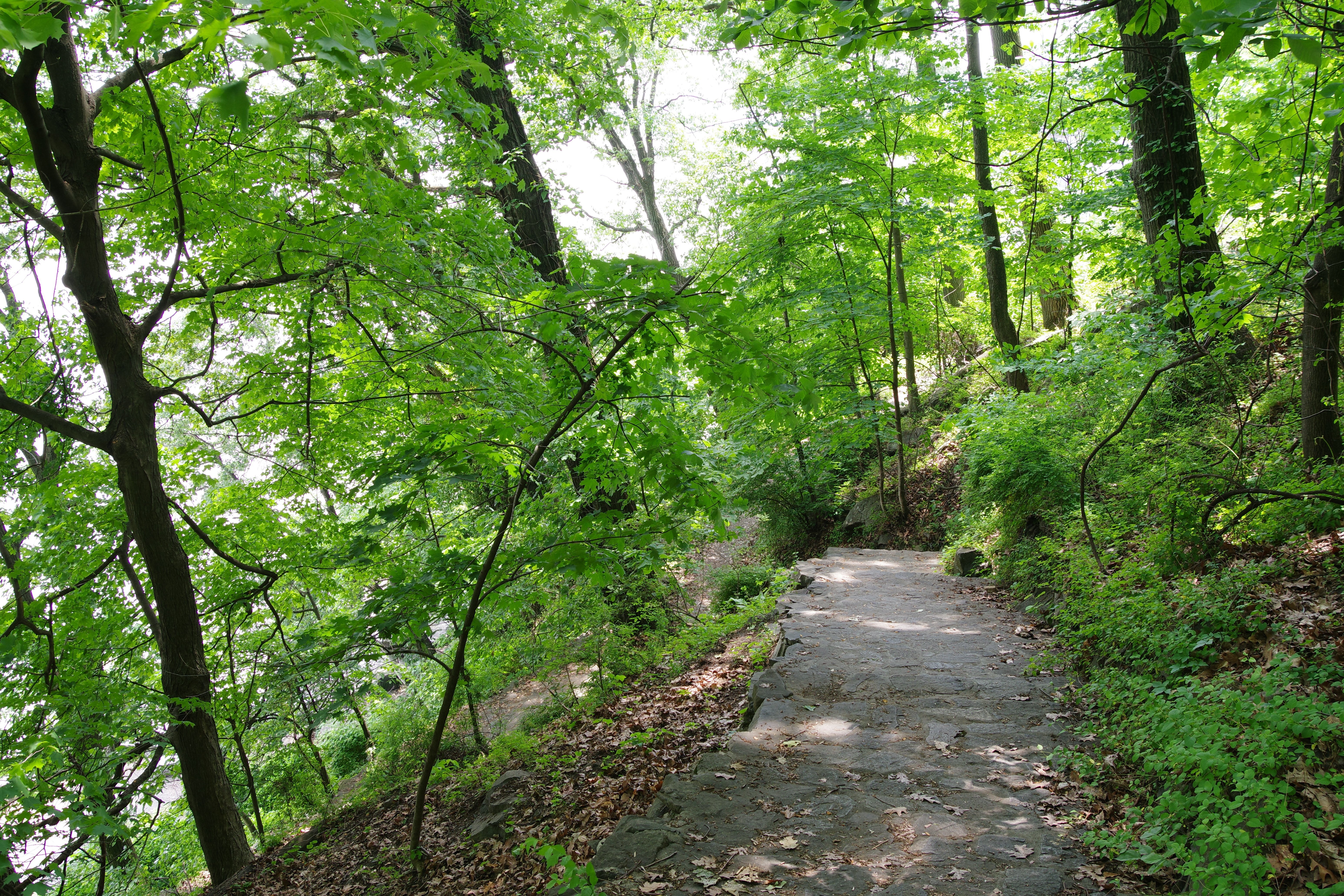 ニューヨーク近郊の自然公園【お写ん歩】｜Takaaki Ueno