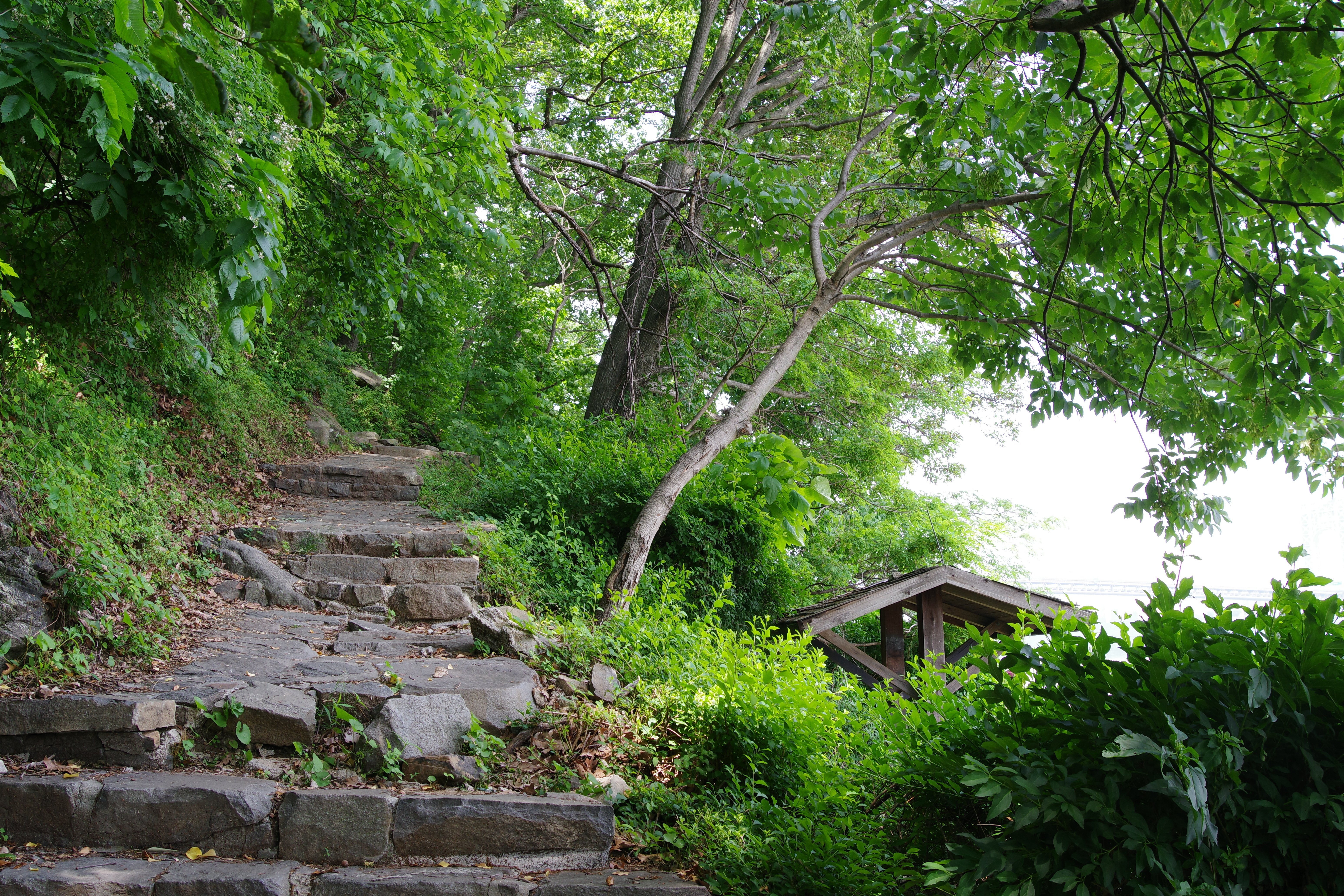 ニューヨーク近郊の自然公園【お写ん歩】｜Takaaki Ueno