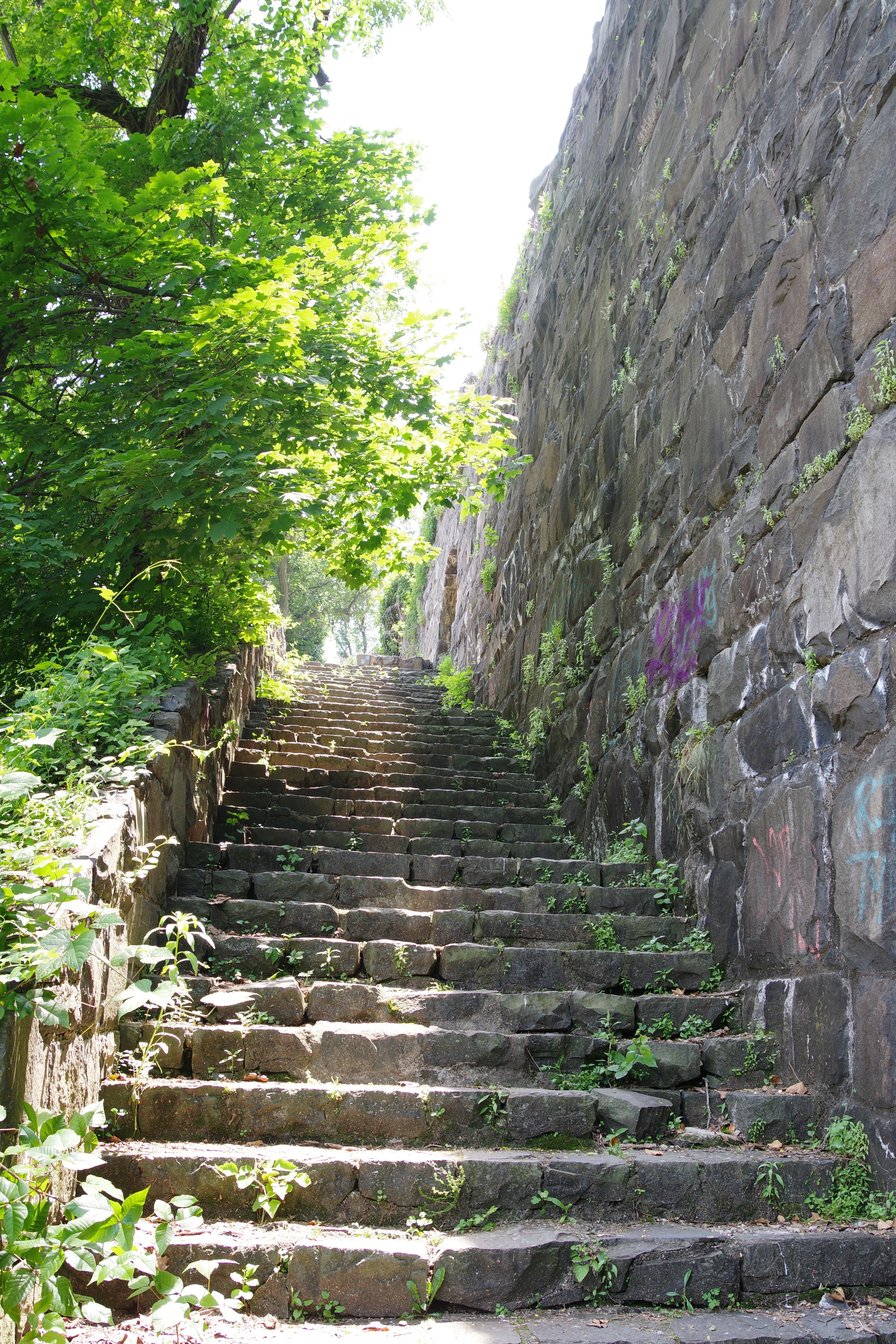 静かな公園 公園 - mamaSAPO Novi