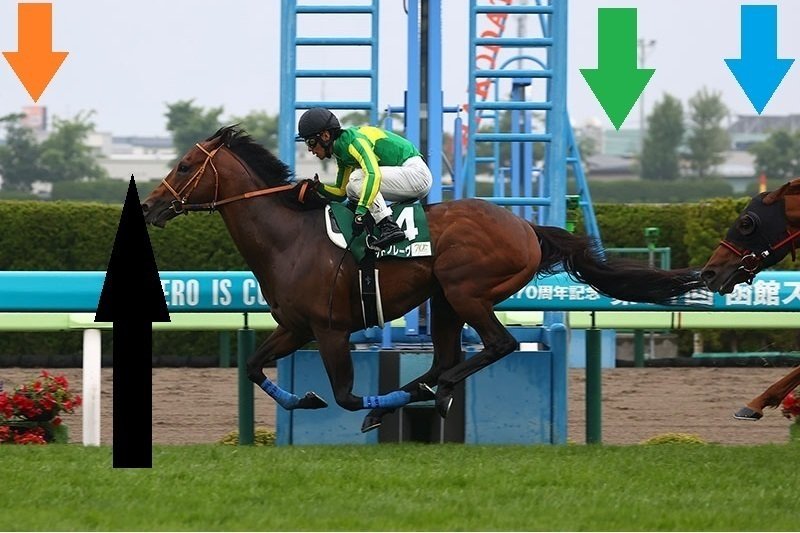 函館スプリントステークス・ジューンステークス2025 サイン馬券|函館 函館スプリントステークス・ジューンステークス2025 サイン馬券|函館