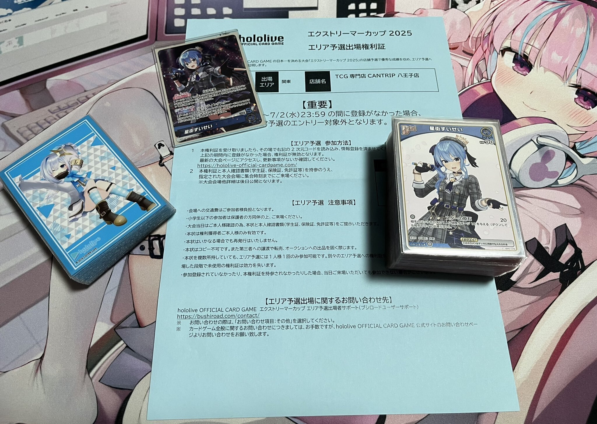 ホロカ】エクストリーマーカップSummerメモ＠八王子｜さはら