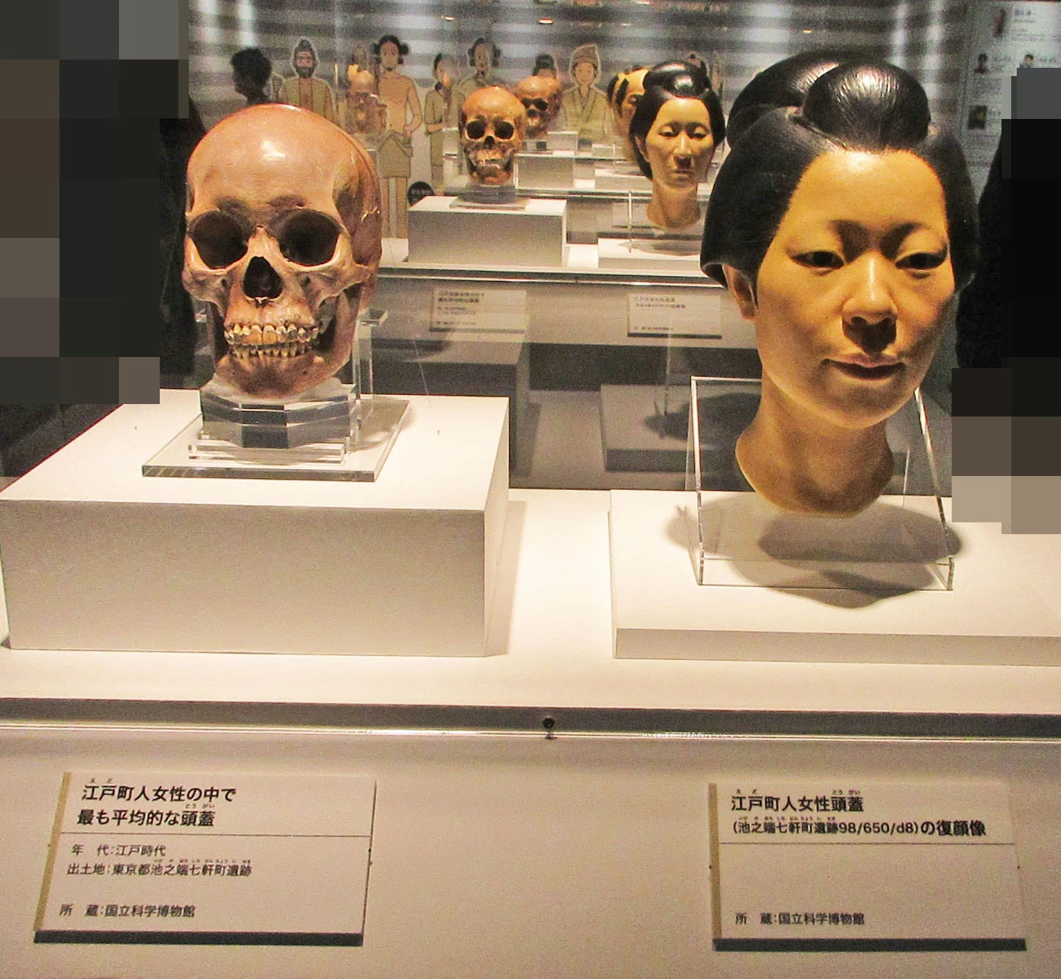 第7章 中世以降の日本人：特別展「古代DNA－日本人のきた道－」見聞録