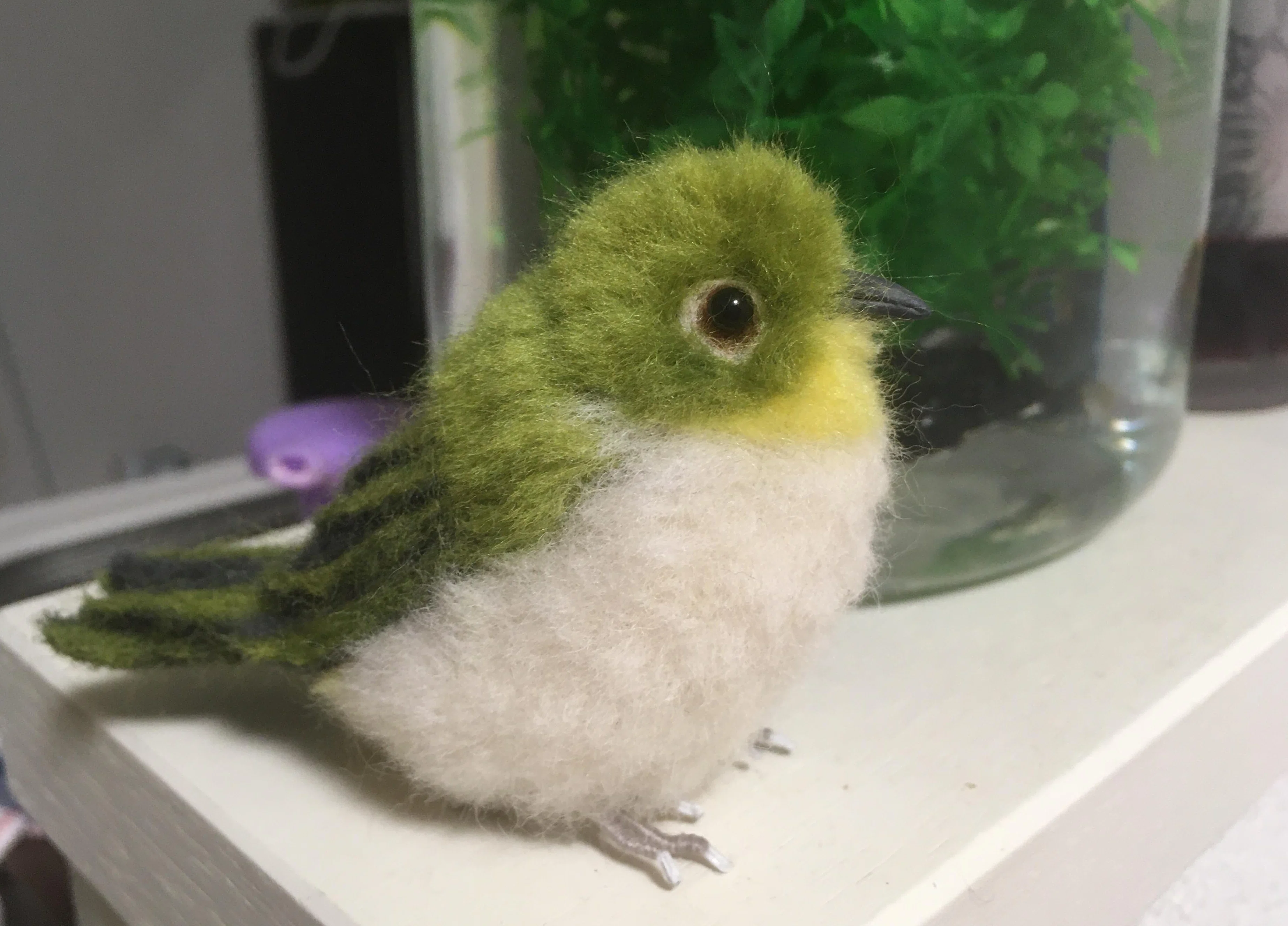 社畜だった頃に、小鳥に心を救われた話 -White eye- メジロ｜befh