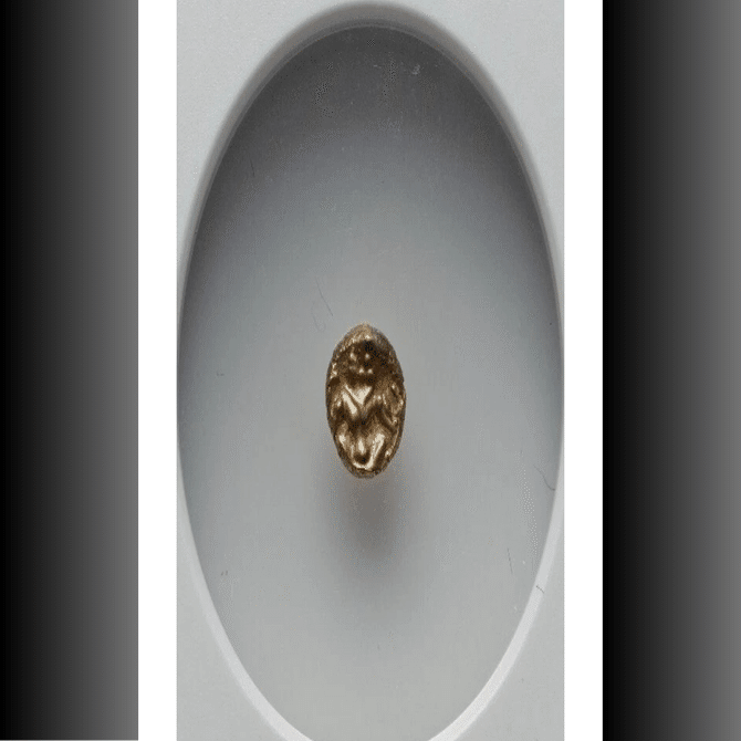 獅子王」が魅せる0.3gの奇跡——マイソール王国ファナム金貨で辿るインド