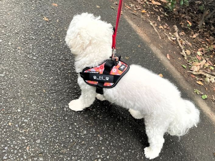 K9 まとめ 愛なのか？自己満足なのか？｜まるパパ
