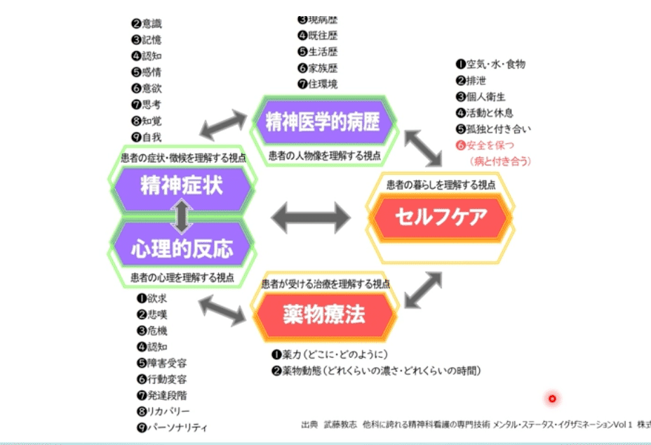 メンタル・ステータス・イグザミネーション（MSE）」を含む総合