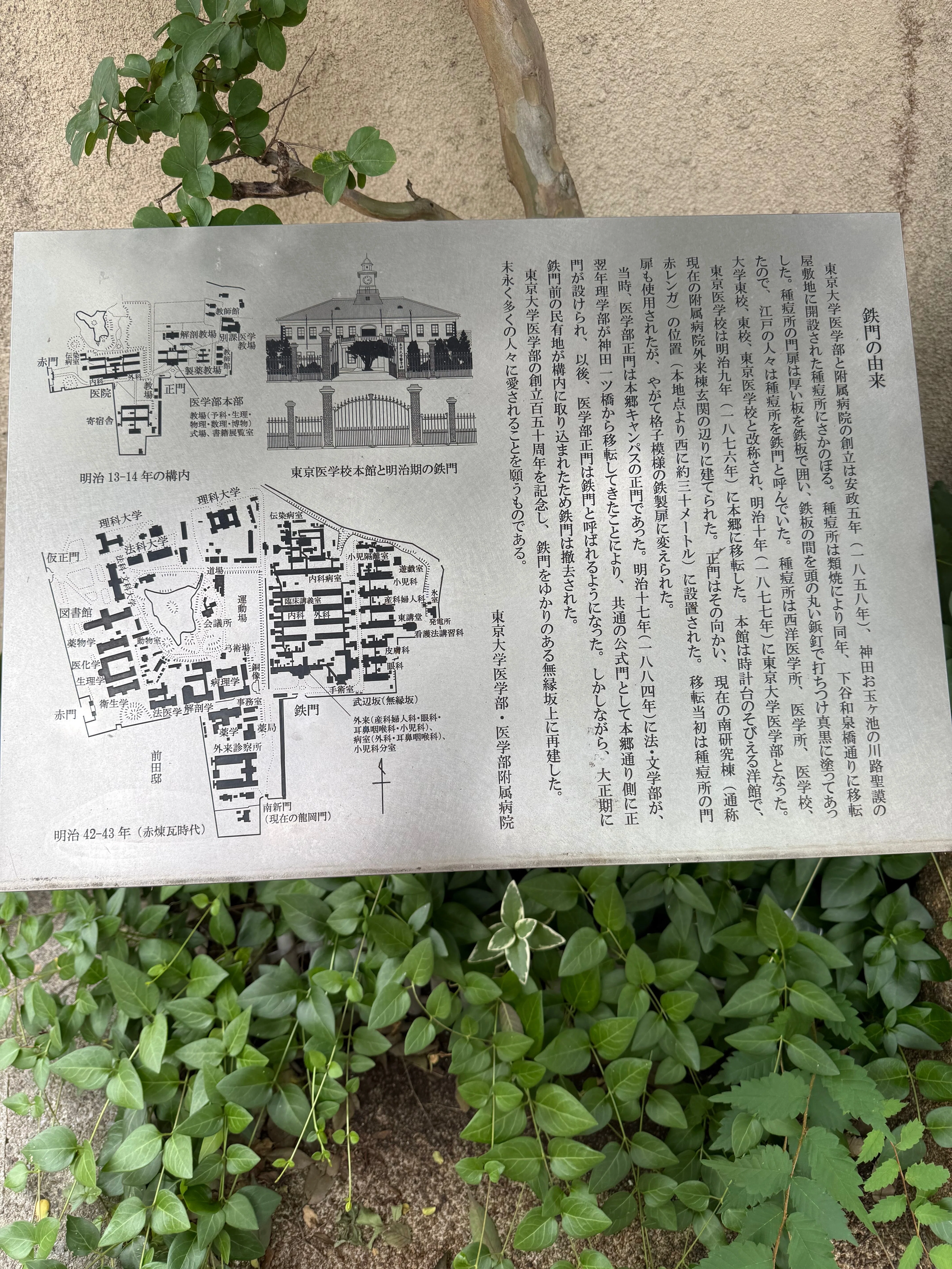文京区】東京大学｜nama