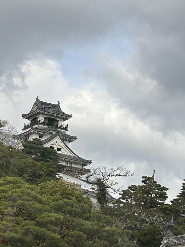 日本城郭史 超レア 日本全国のお城のこと書いてある-美しい
