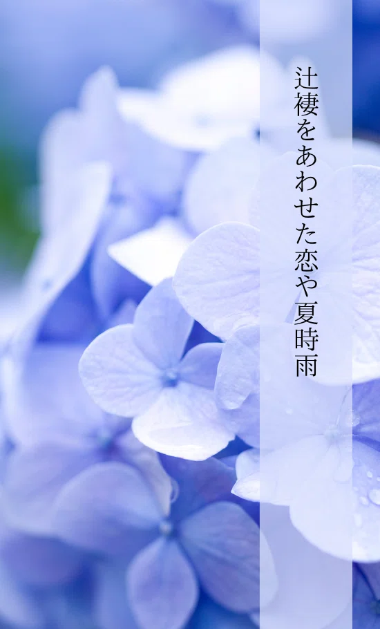 夏のキュン句｜俳句｜rira