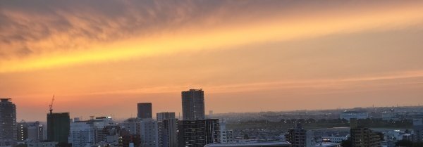 66-周易講義　写真通りに経年日焼けとキズがあります。 66-周易講義 写真通りに経年日焼けとキズがあります。