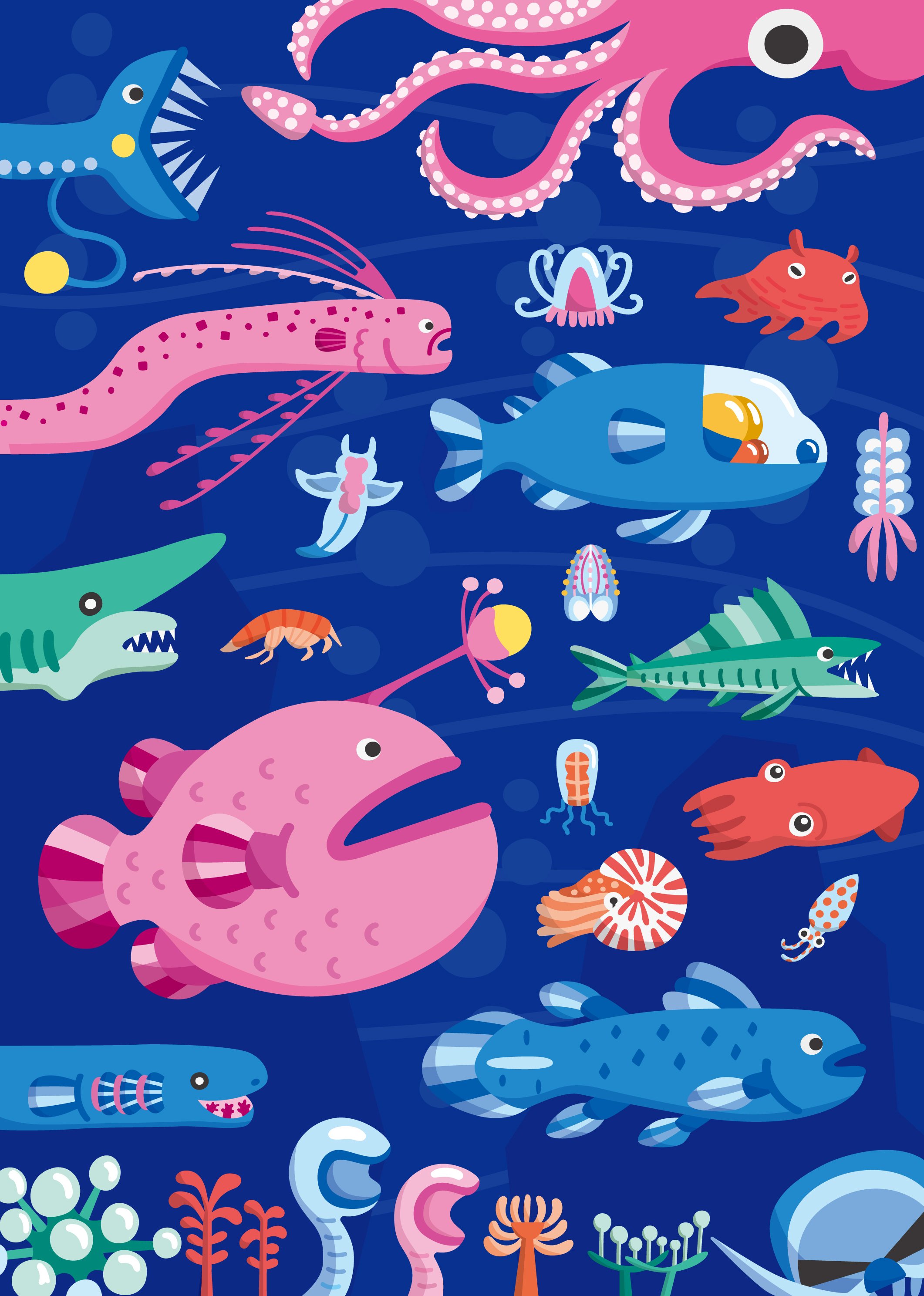 riorio82点おまとめ 図鑑　動物　海の生き物大図鑑 riorio82点おまとめ 図鑑 動物 海の生き物大図鑑 海のいきもの