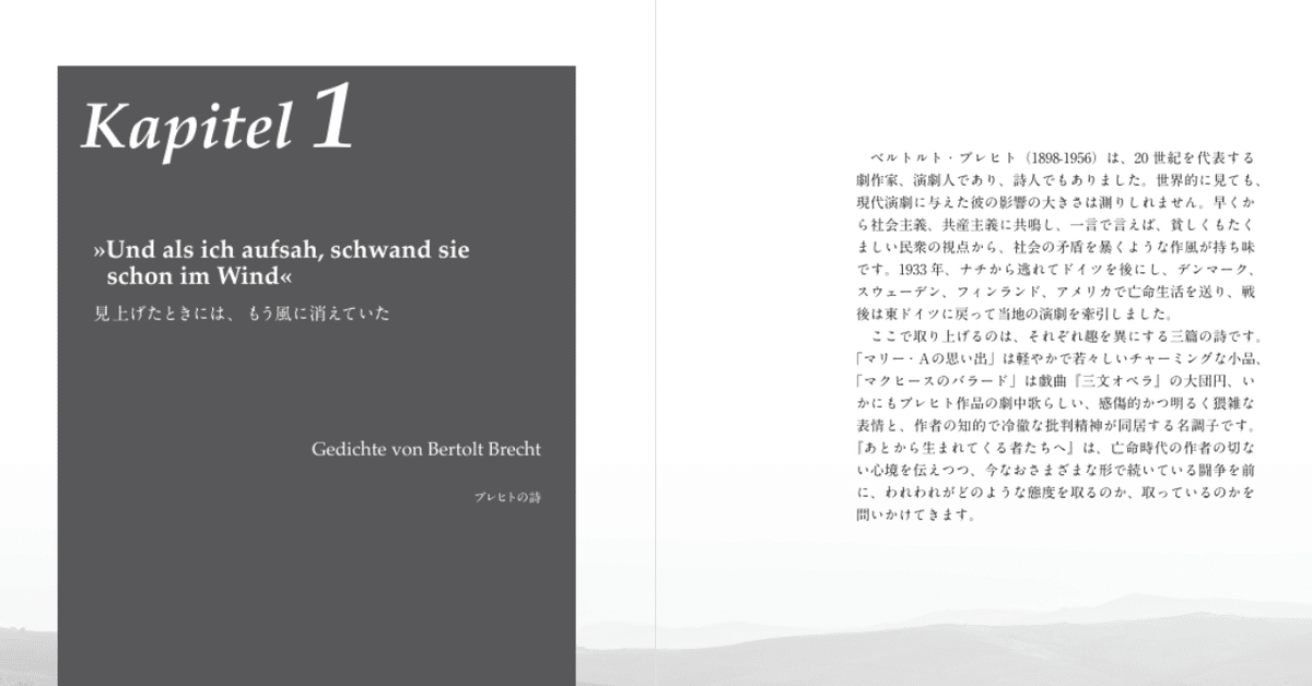 ドイツ語の名文をオリジナルで読むための、硬派な参考書「ラブ