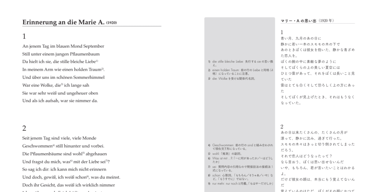 ドイツ語の名文をオリジナルで読むための、硬派な参考書「ラブ