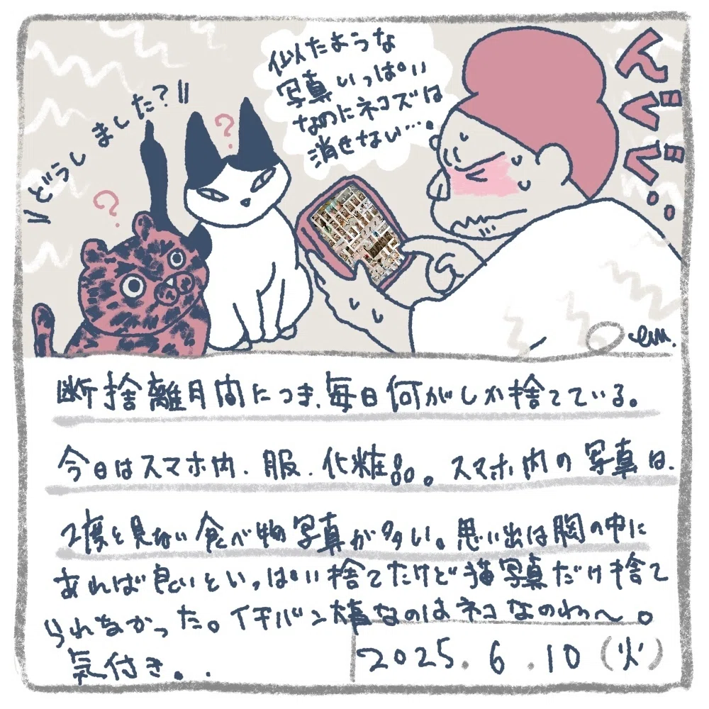 猫イラスト 期間限定 断捨離用 【公式通販】