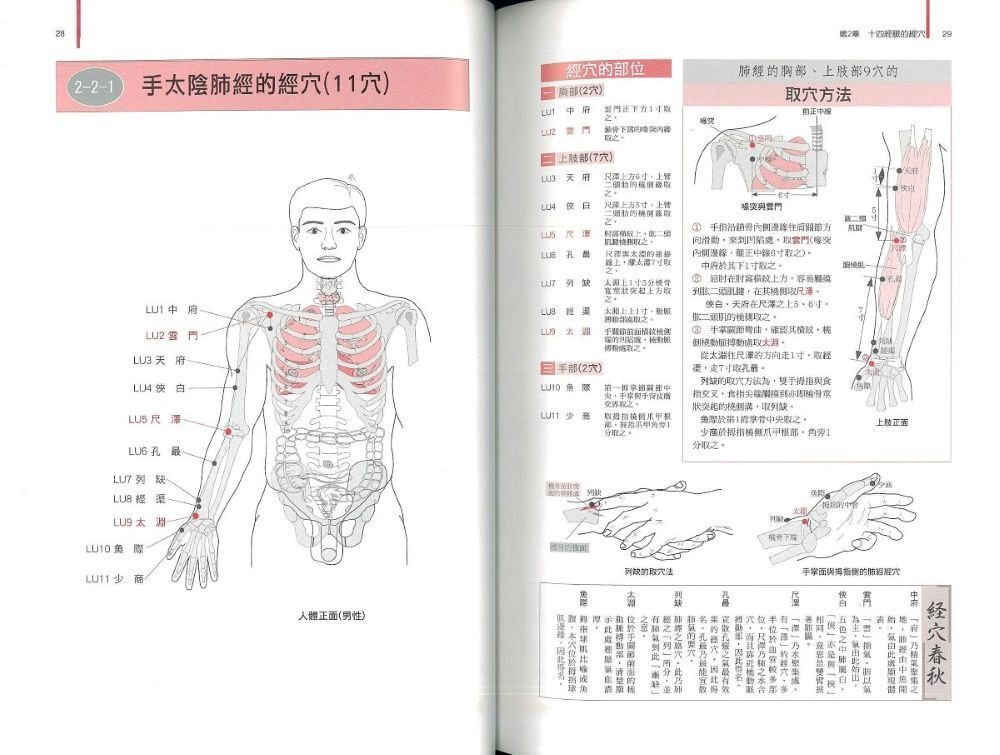 全身経穴応用解剖図譜 Amazon.co.jp: 全身経穴応用解剖図譜 日漢対照 : おもちゃ