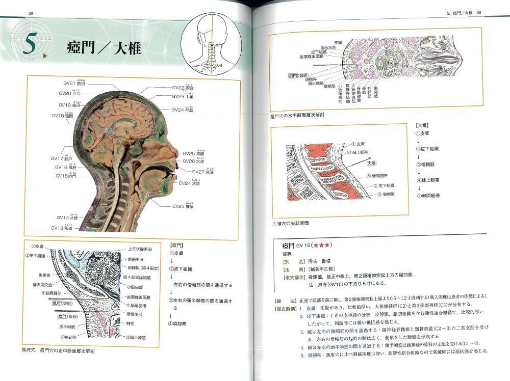 東洋医学　経穴編 東洋医学 経穴編 図説東洋医学 (経穴編) | 木下 晴都, 代田 文彦 |本