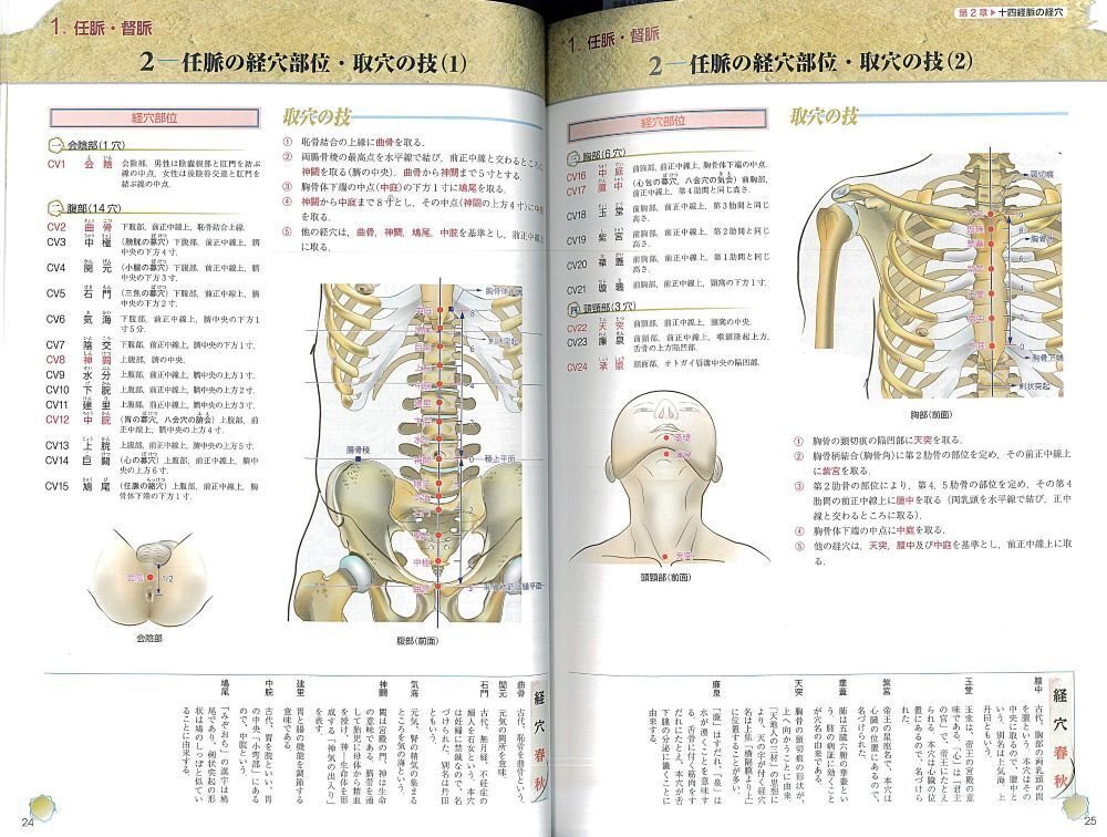 全身経穴応用解剖図譜 全身経穴応用図譜 上海中医薬大学出版社 日漢対照 本
