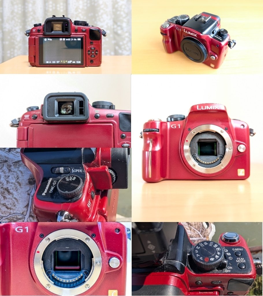 Panasonic パナソニック Lumix DMC-G1 レッド レンズキット 訳