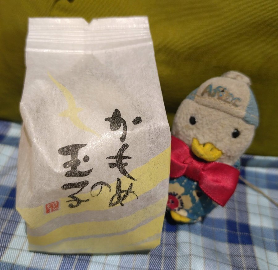 三味線弾きの断片的日常 2025/6/1-10｜静