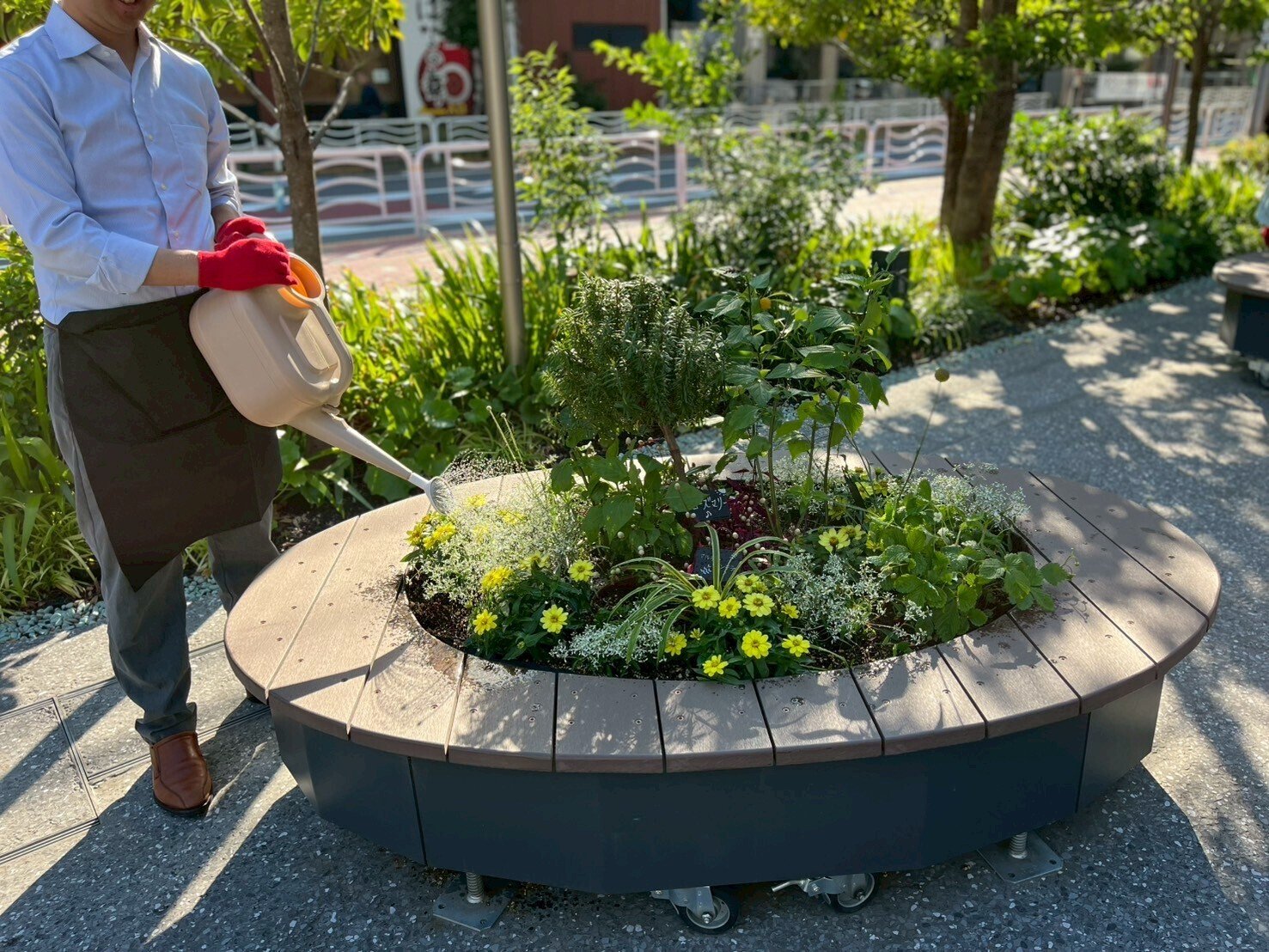 清水建設NOVAREのコミュニティガーデン活動2025年6月5日｜東方陽子