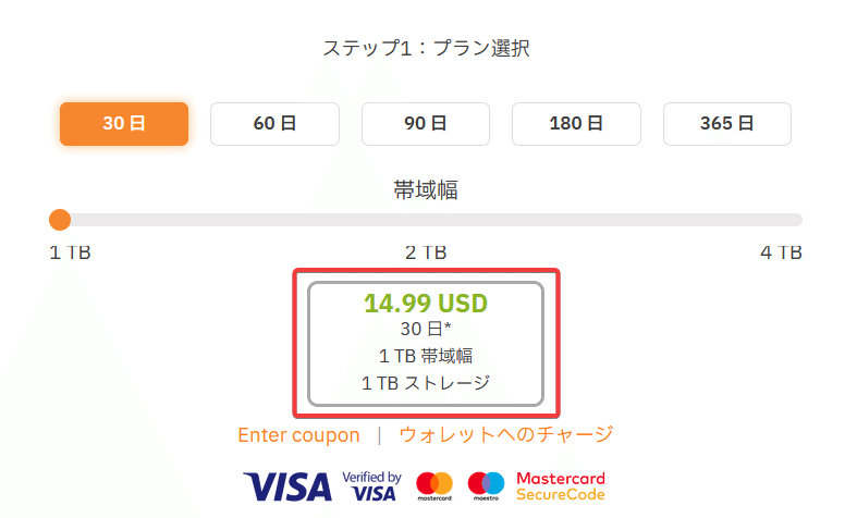 Rapidgator プレミアム公式プレミアムクーポン 365日間 入金確認