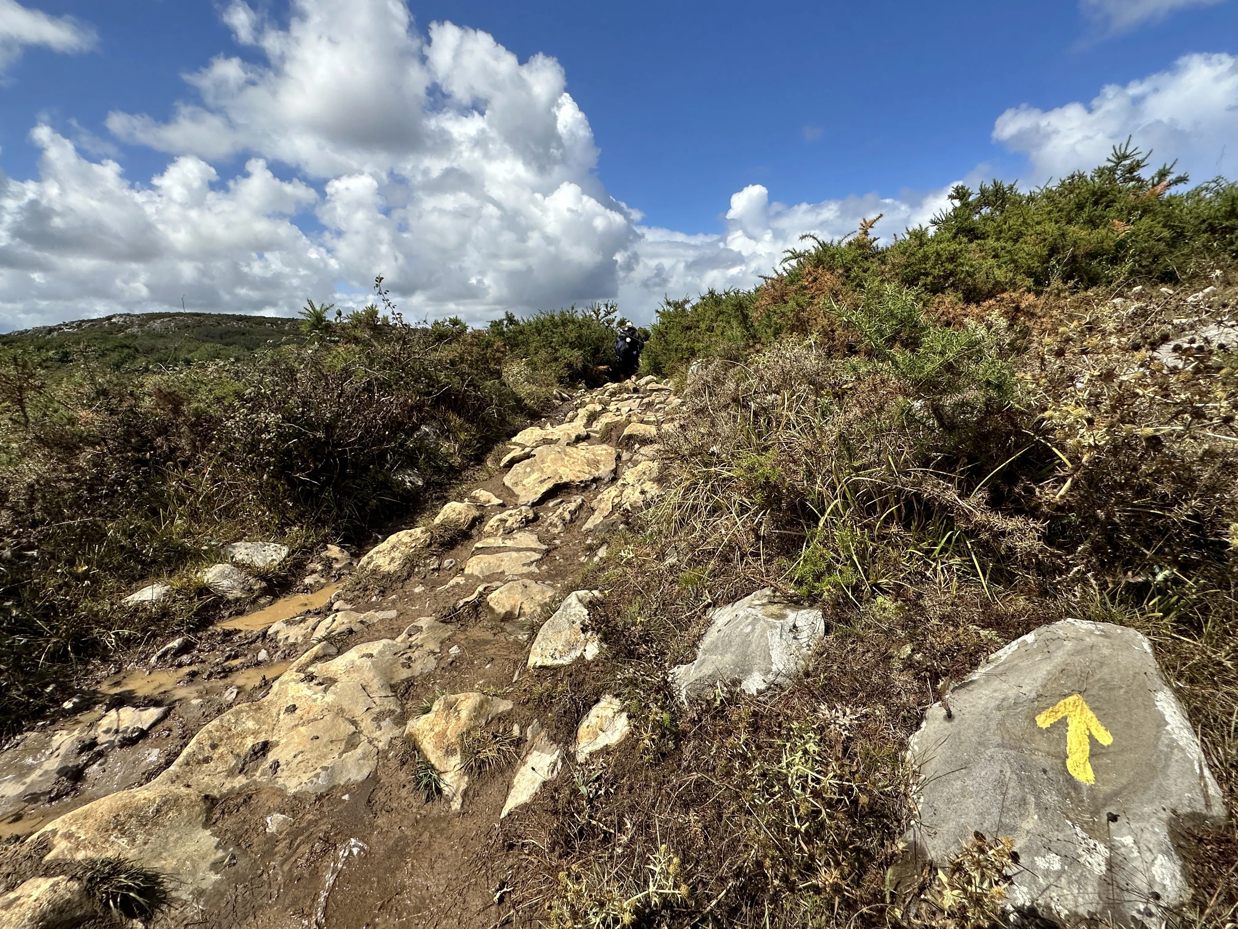 🇪🇸 What the Cross Taught Me on the Camino de Santiago｜のんびり風子