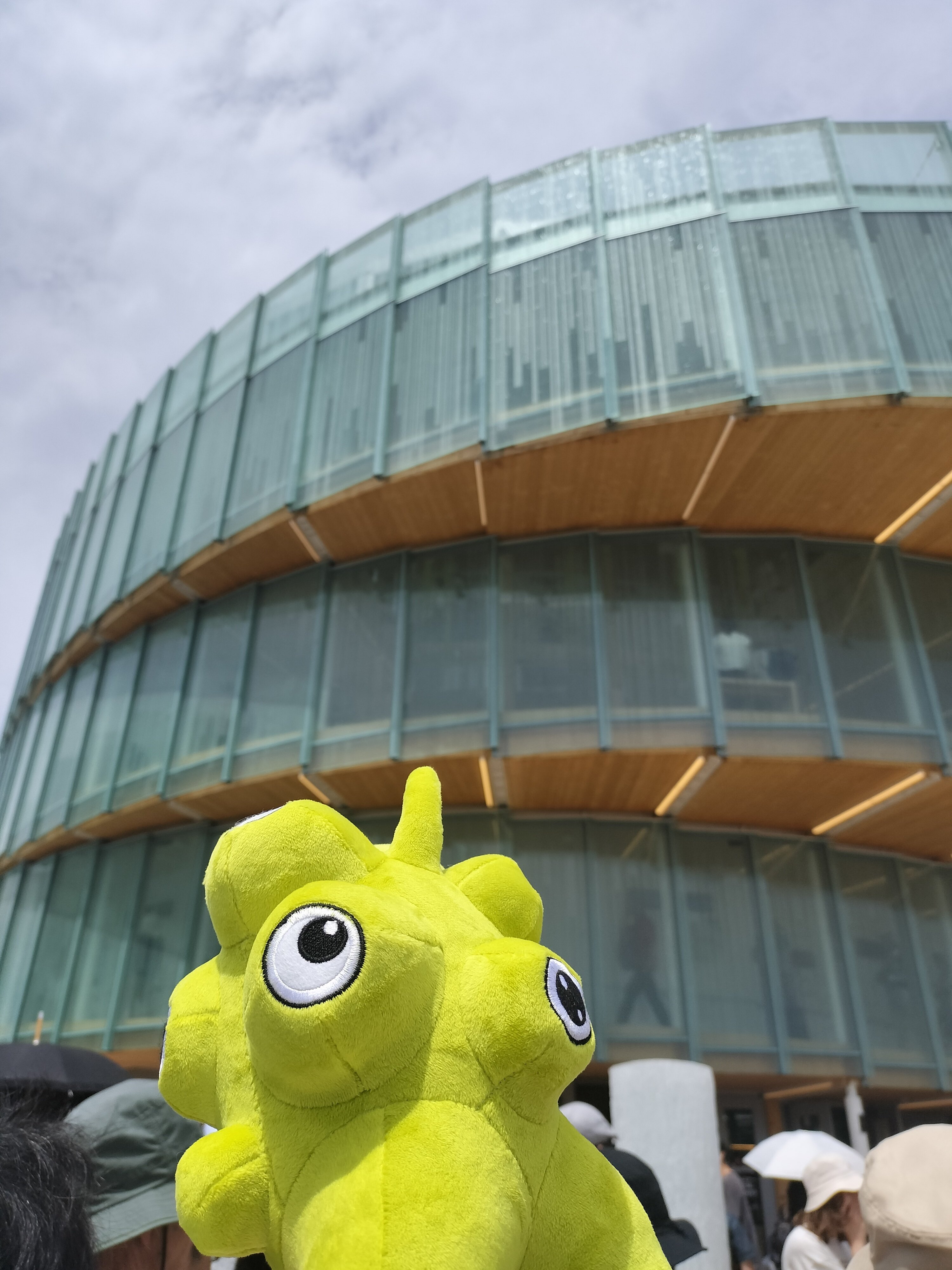 万博2025チェコ館3Dプリントされた目玉付きレネちゃん 大サイズ