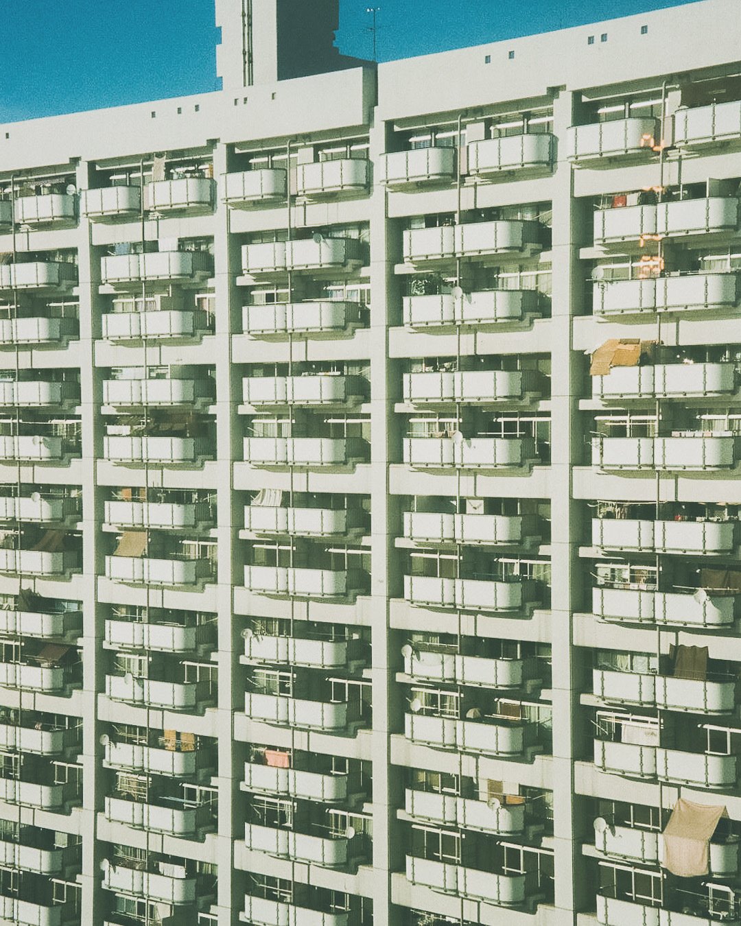 👤La Labメンバー紹介｜#22玉置岳斗｜La Lab（ららぼ）｜若者による