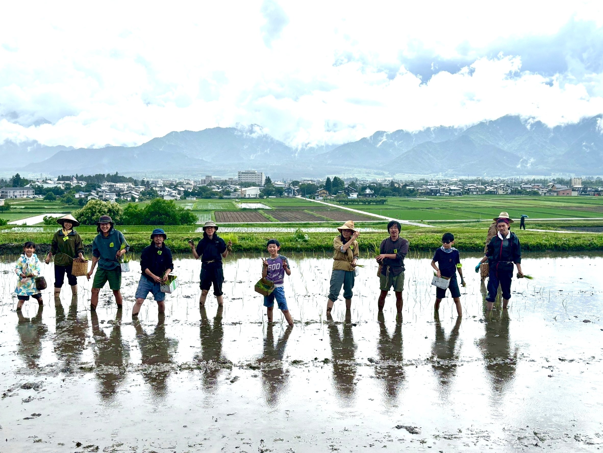 南画 柴田桃圃 Grasshopper on vine. Shibata Zeshin. Japanese Lacquer painting