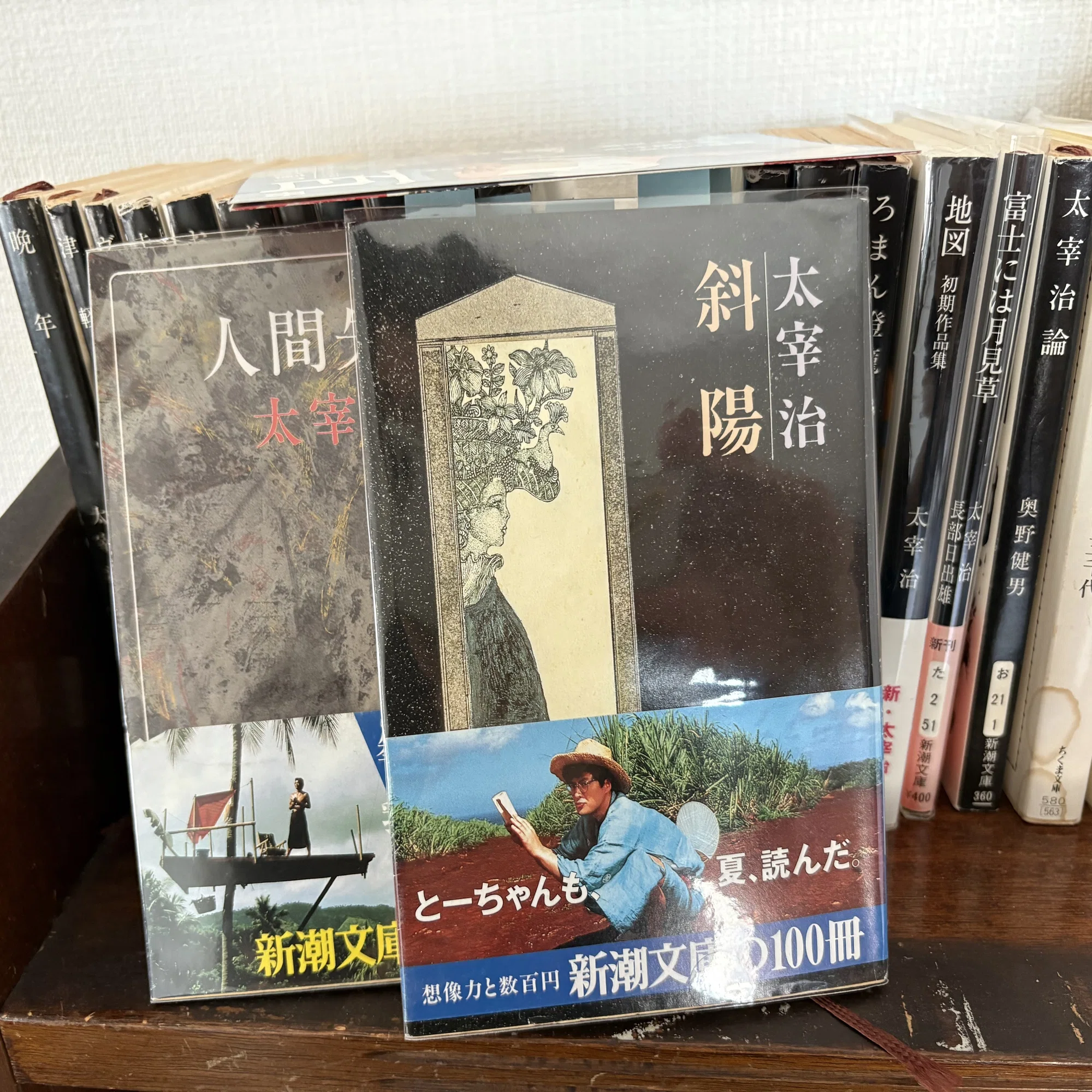 第2回 太田治子／太田静子『明るい方へ 父・太宰治と母・太田静子 