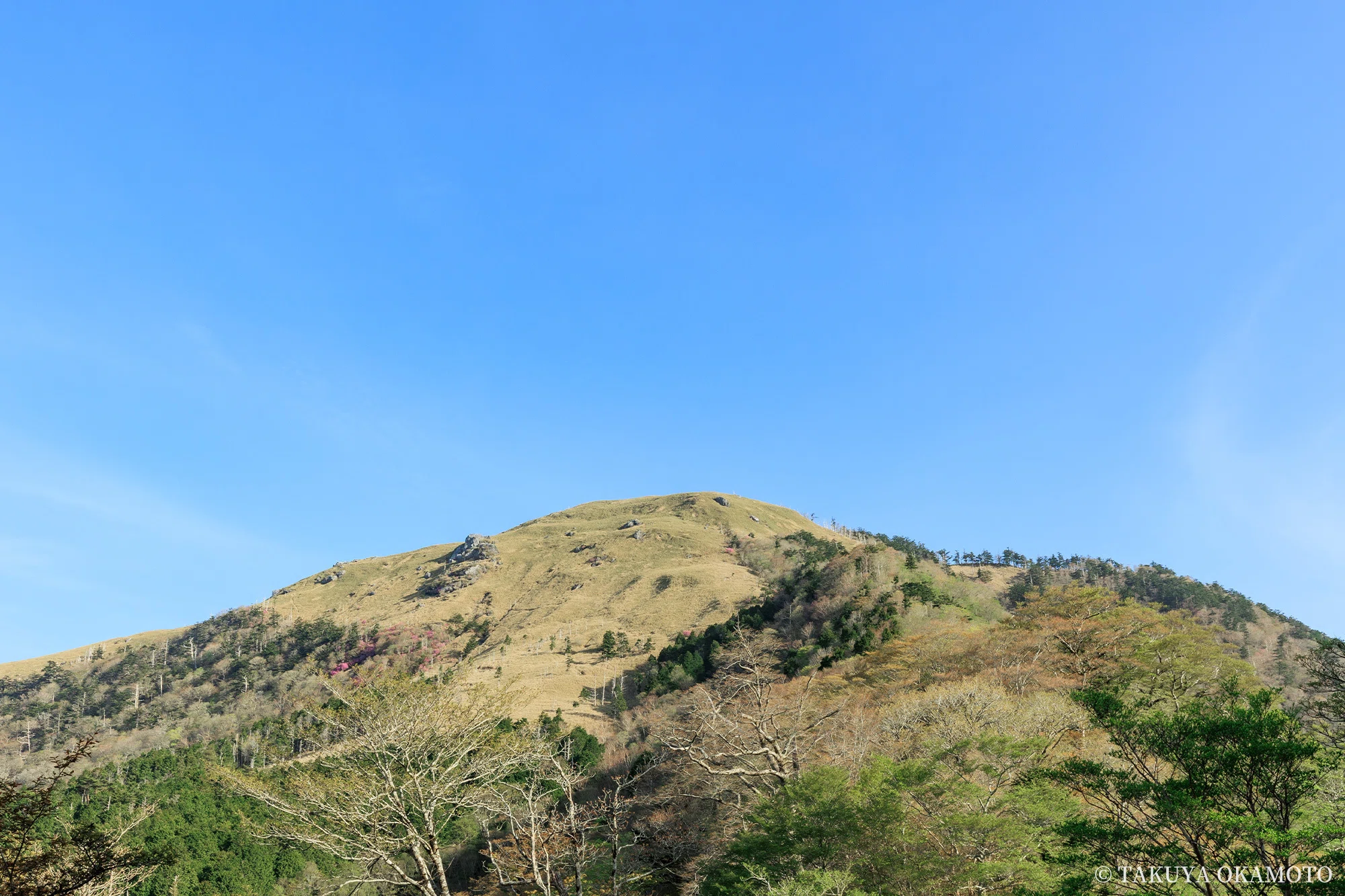 物部物語 Vol.04 ｜ 白髪山とみやびの丘｜岡本卓也｜風景写真家