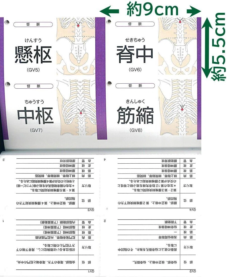 画像で比較】鍼灸・推拿に役立つ経穴取穴本おすすめ21選｜在庫あり49冊