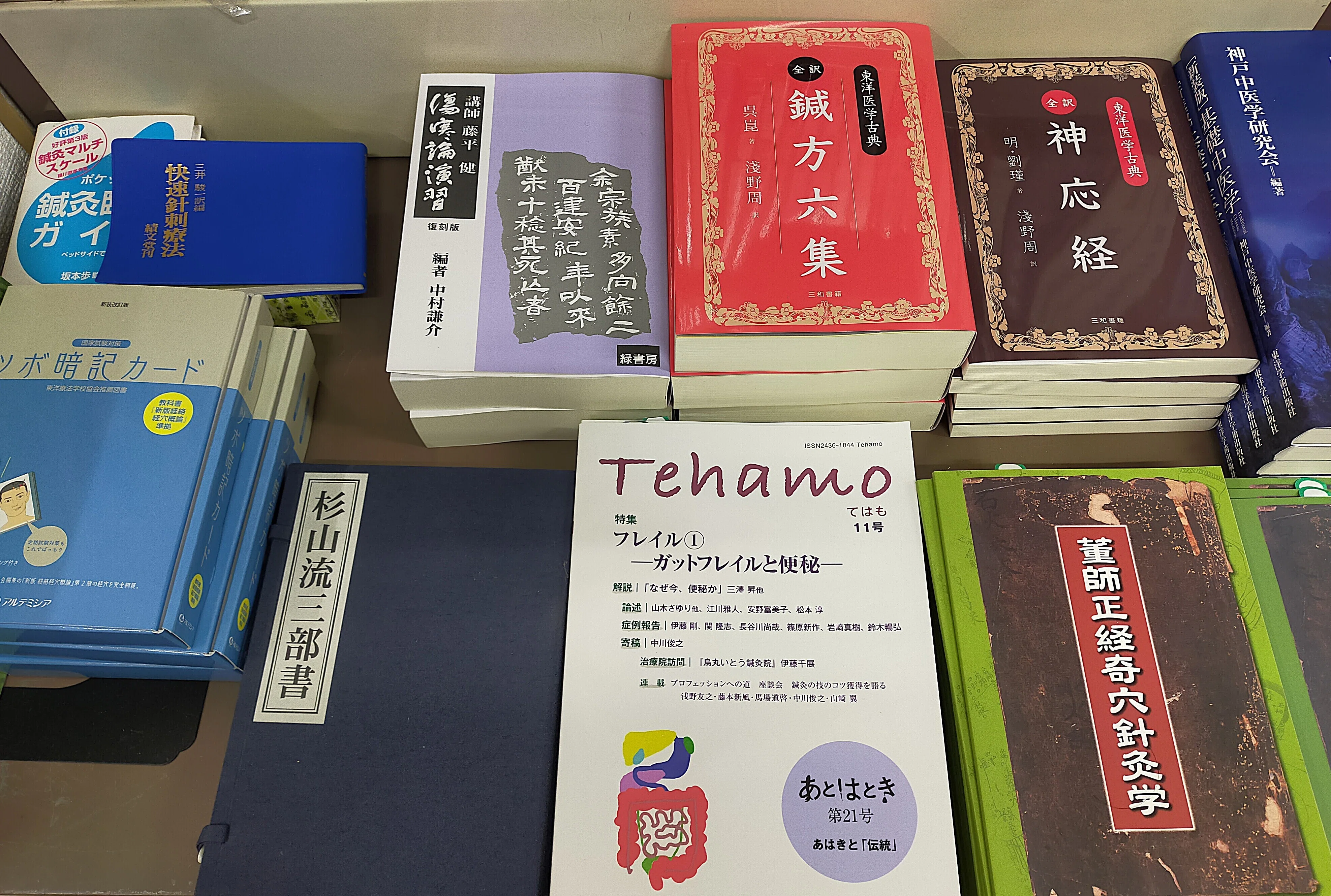 画像で比較】鍼灸・推拿に役立つ経穴取穴本おすすめ21選｜在庫あり49冊