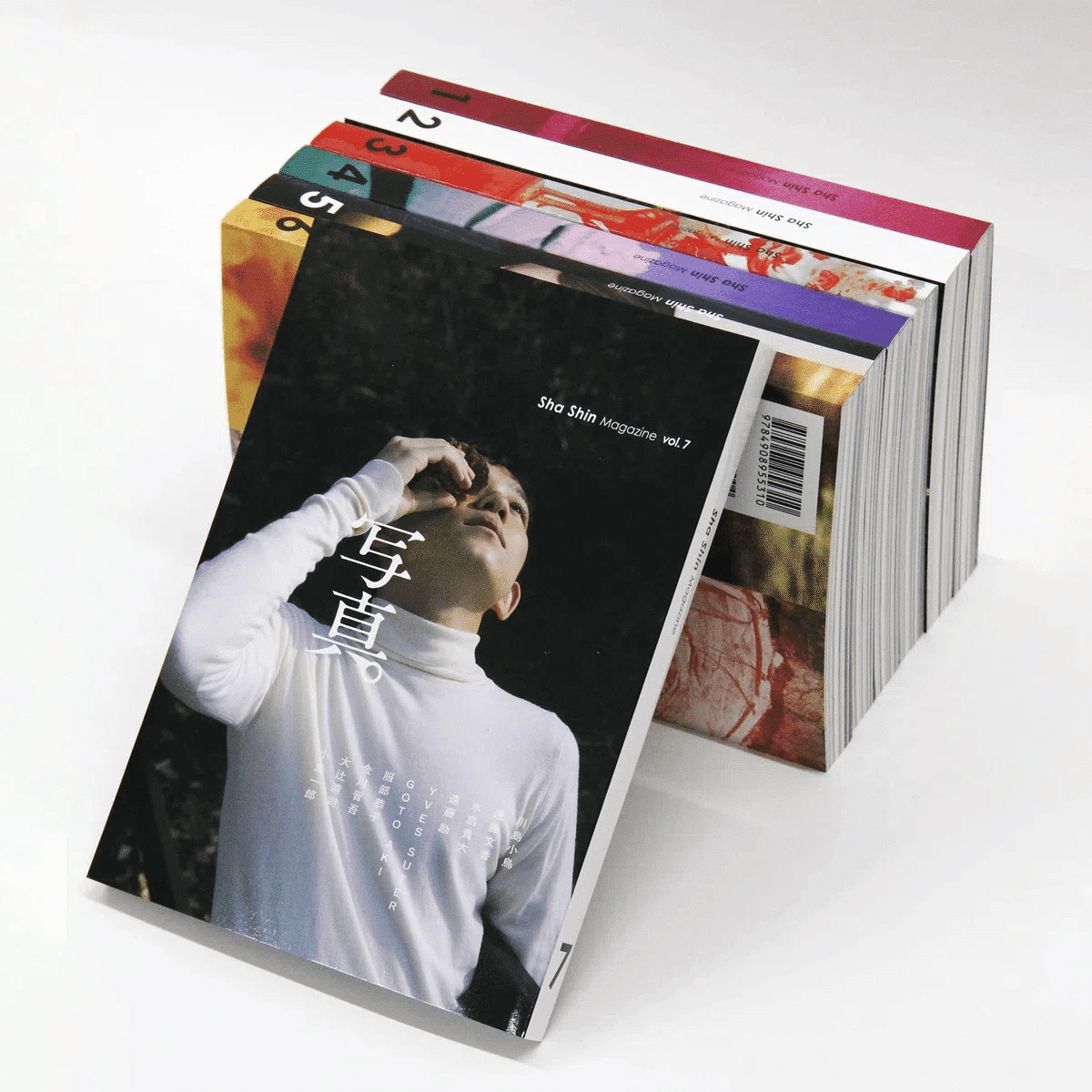 田井雄二、【回帰するものたち】、希少な額装用画集より、新品額装付 いつも一緒（ジクレー版画／アートパネル／額装）｜坂崎千春 / Chiharu