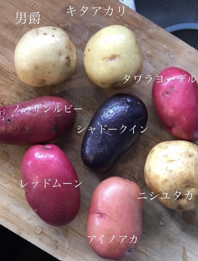ちかっぺ グラウンドペチカ 20キロ ちかっぺ グラウンドペチカ 20キロ グラウンドぺチカ 20キロ