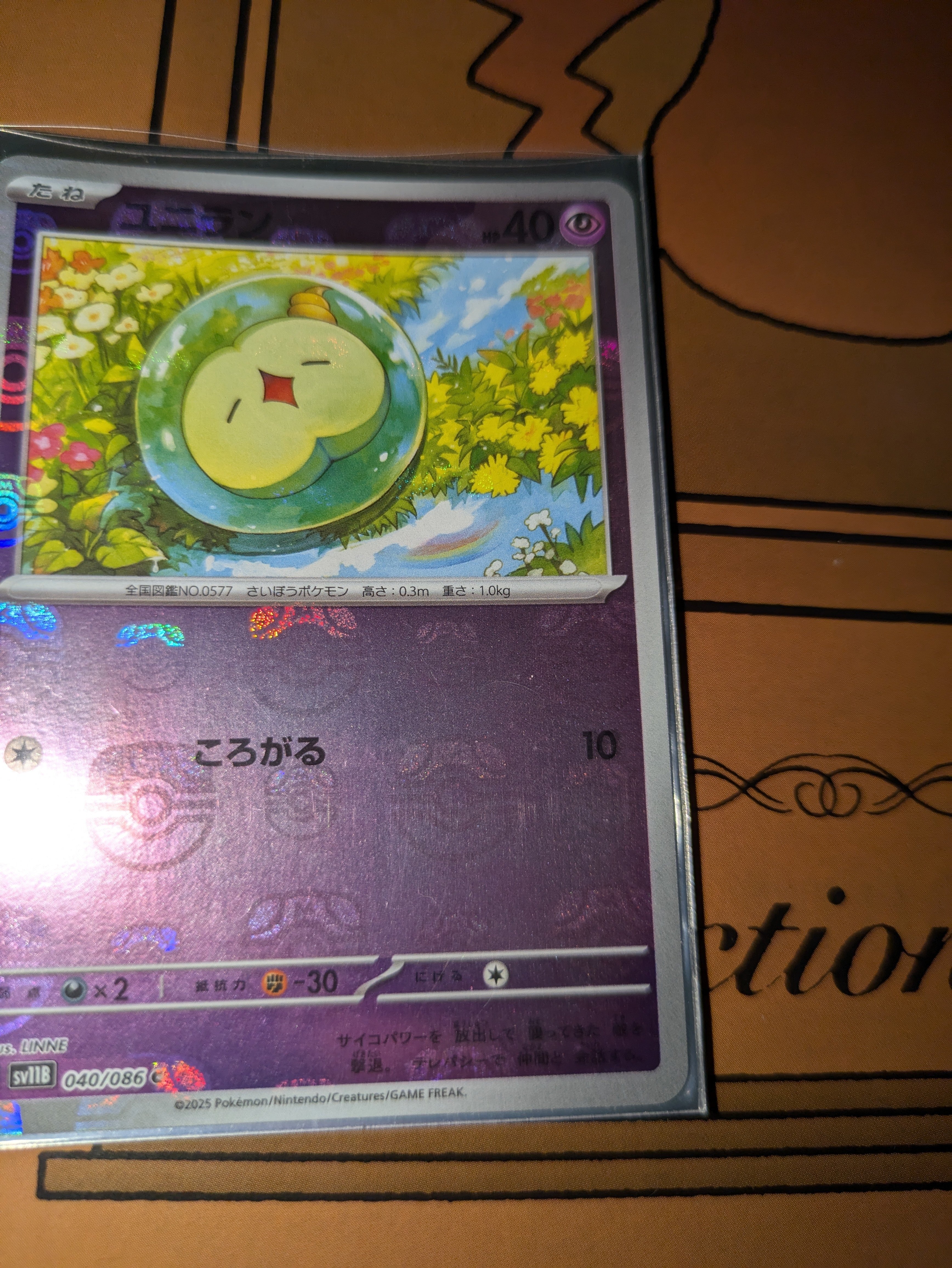 数年ぶりにポケカのコレクションファイルを整理した｜只今工事厨