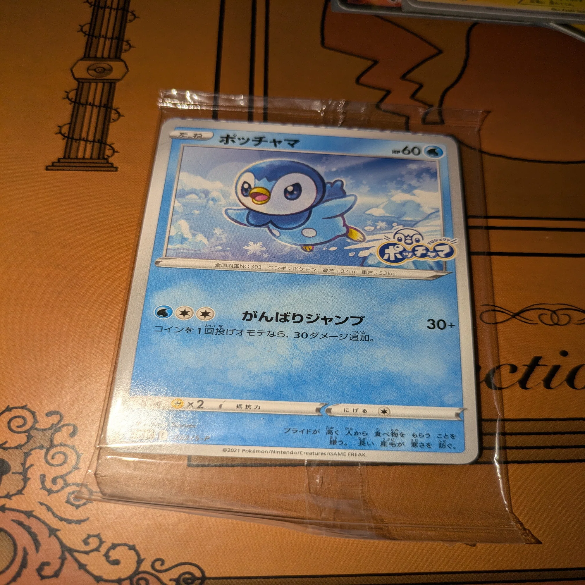 数年ぶりにポケカのコレクションファイルを整理した｜只今工事厨 