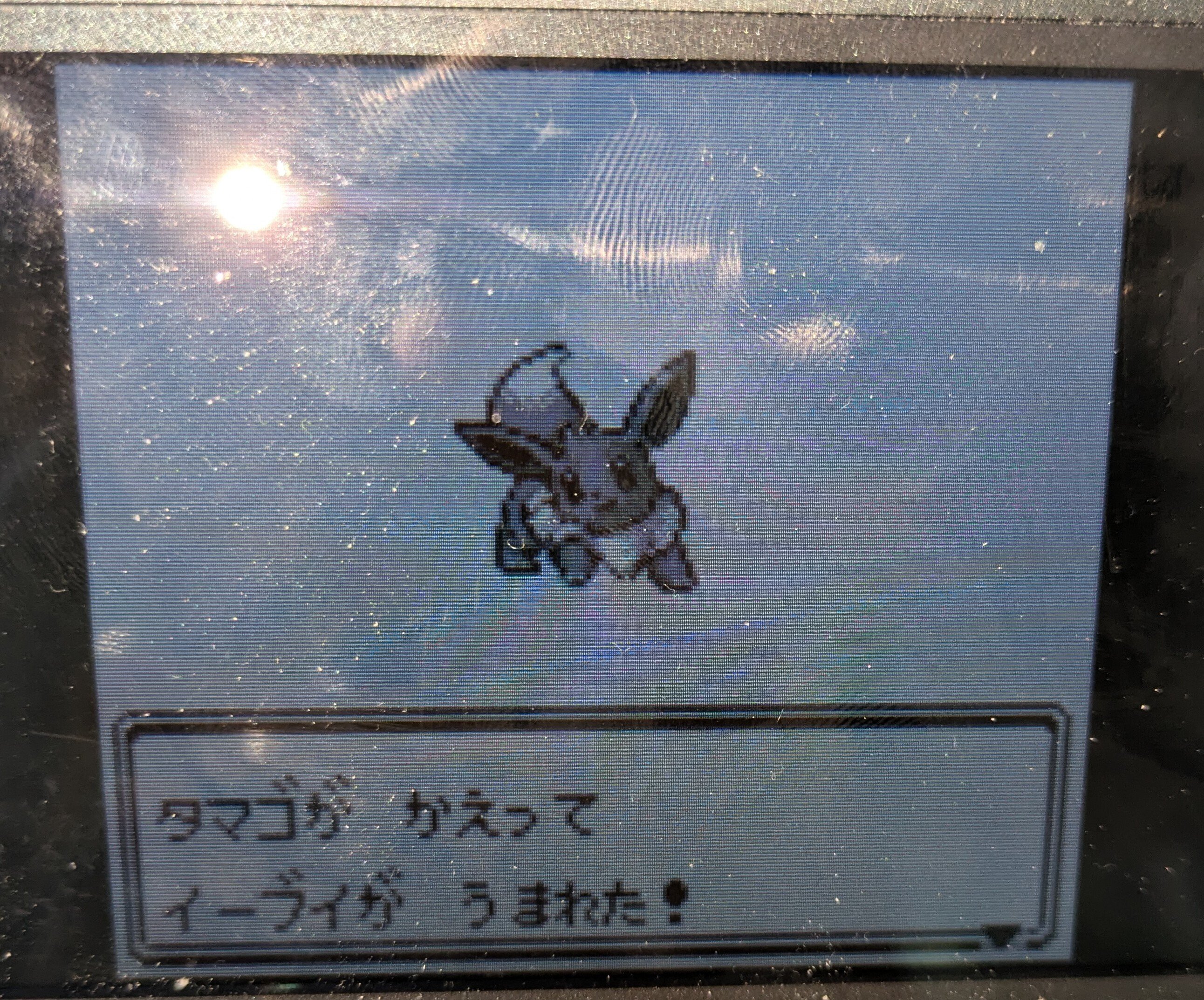 数年ぶりにポケカのコレクションファイルを整理した｜只今工事厨