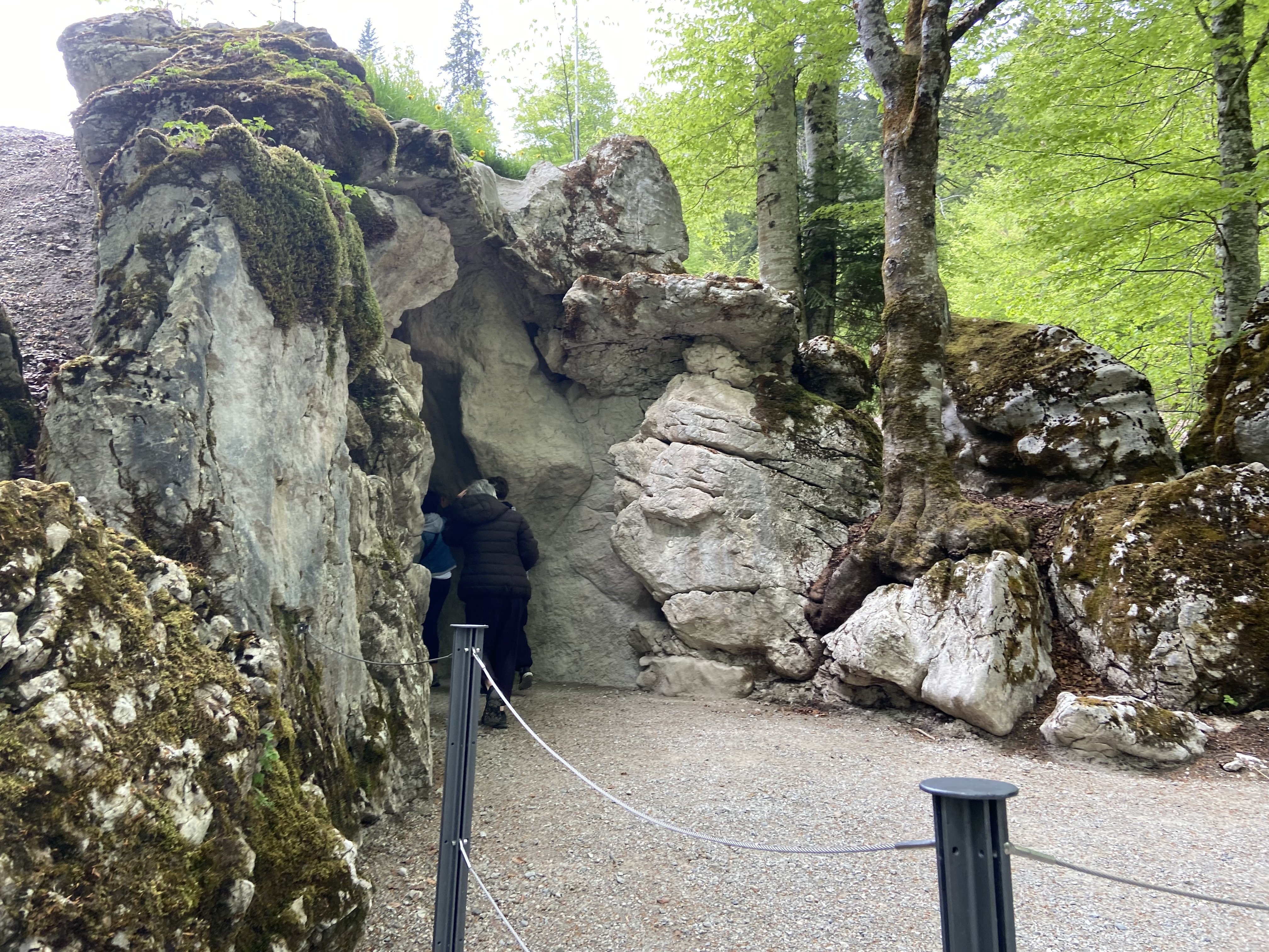 🦢人民に愛されたKINI ルートヴィヒ2世🦢美の極みの城〜ヘレンキムゼー