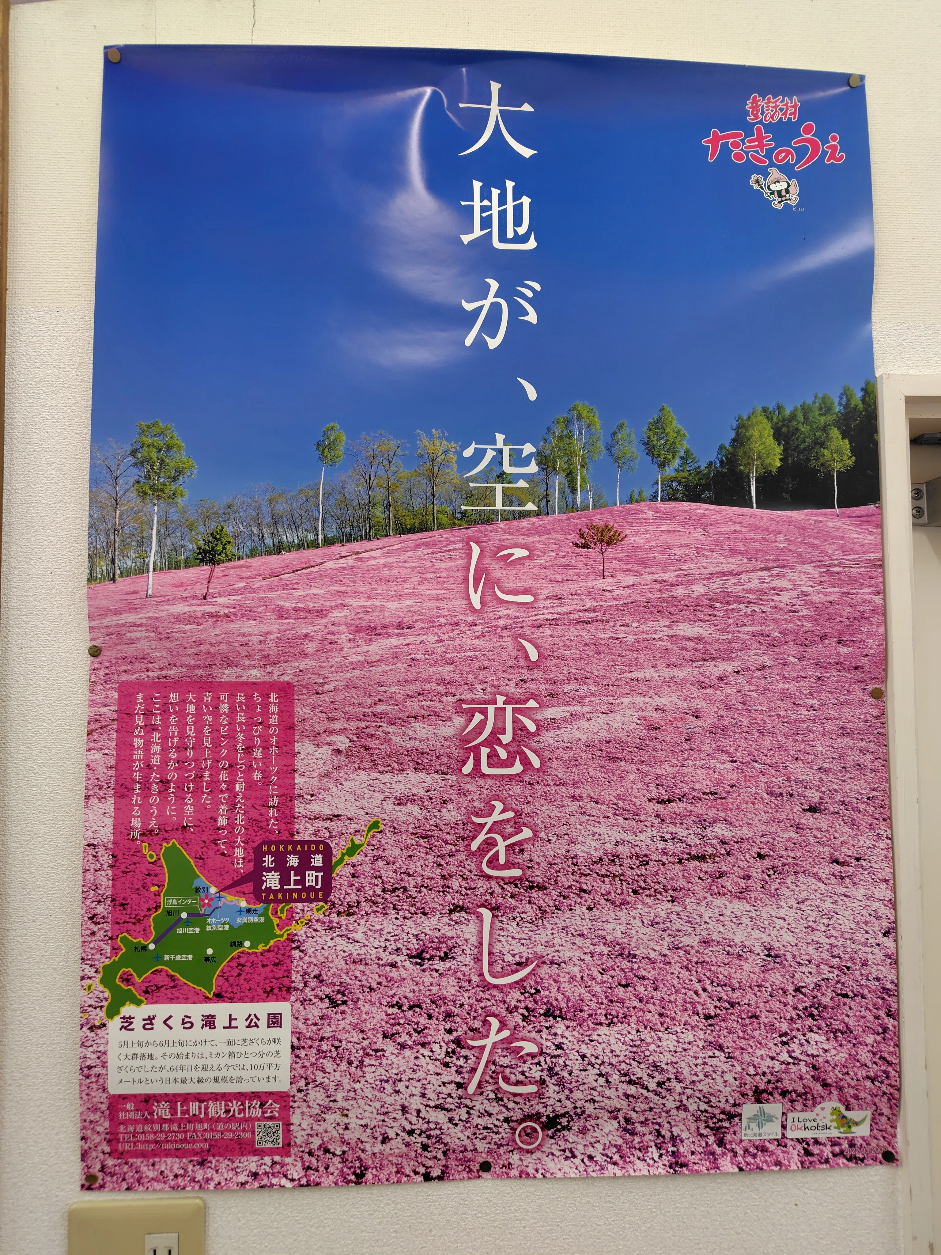 強行突破！日本一の芝ざくら滝上公園／ミドル夫婦の車中泊de道の駅